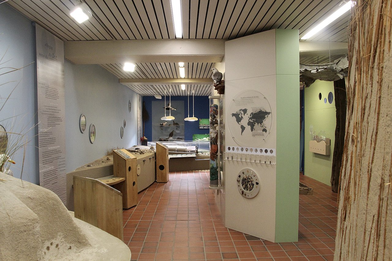 Norddorf, Naturzentrum Amrum - Ausstellungsraum