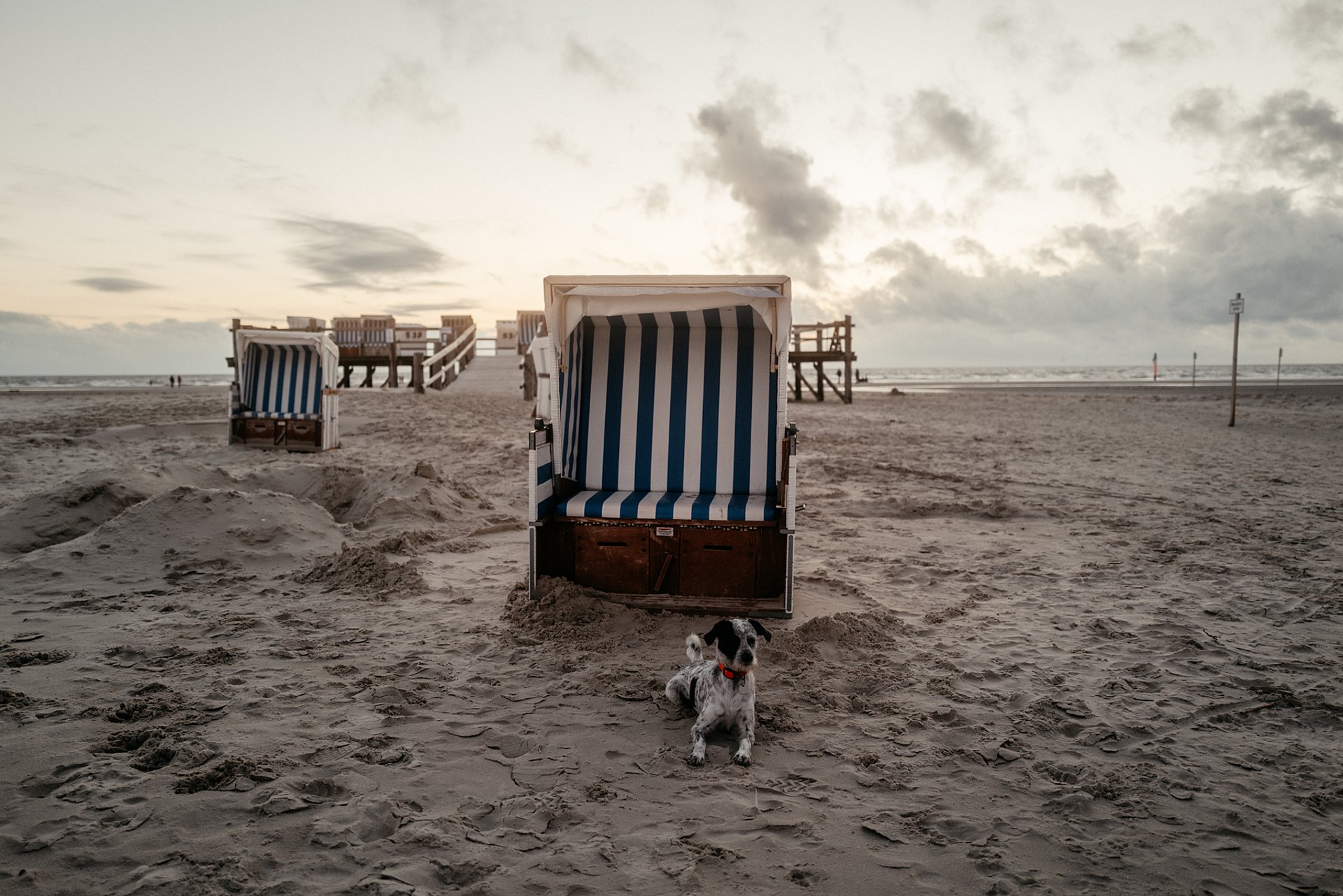 Hund vor Strandkorb in St. Peter-Ording