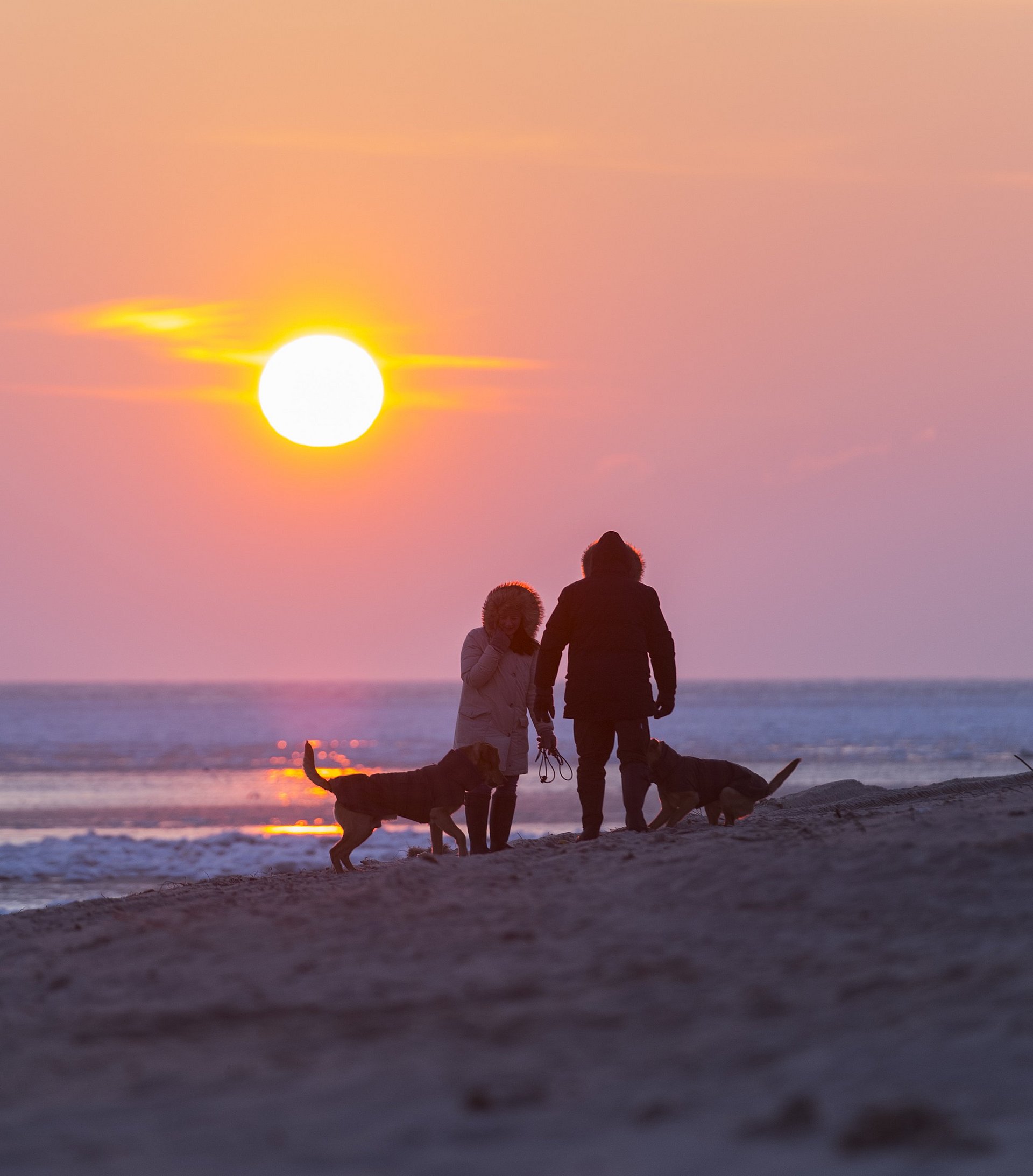 Pärchen mit Hunden spielen im winterlichen Sonnenuntergang am Strand von Hörnum