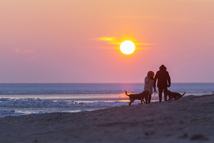 Pärchen mit Hunden spielen im winterlichen Sonnenuntergang am Strand von Hörnum