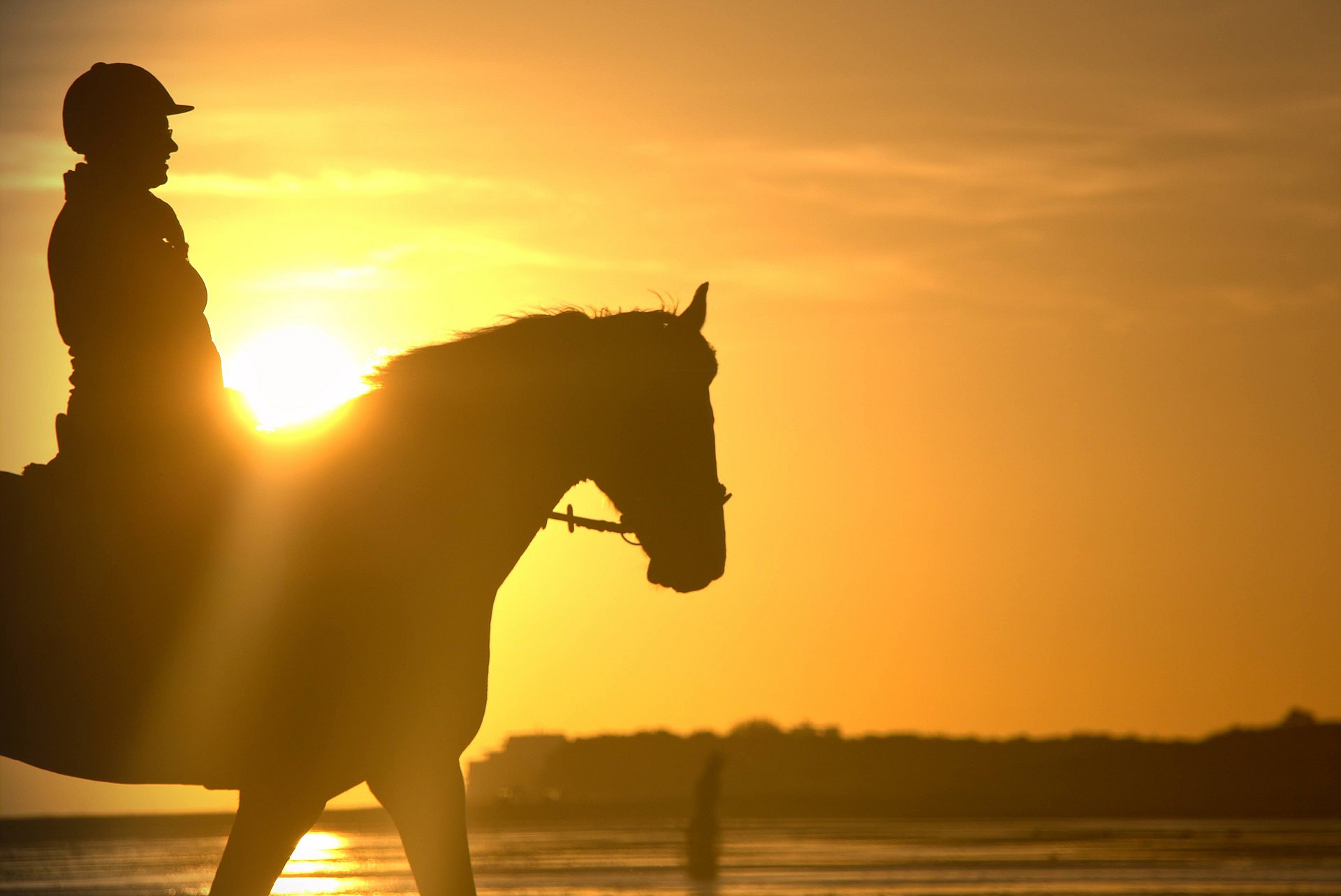Pferd und Reiter bei Sonnenaufgang im Watt