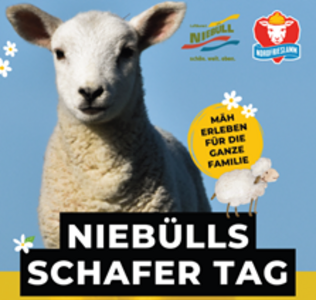 Plakat für Niebülls Schafer Tag - ein Lamm im Hintergrund, im Vordergrund die Informationen