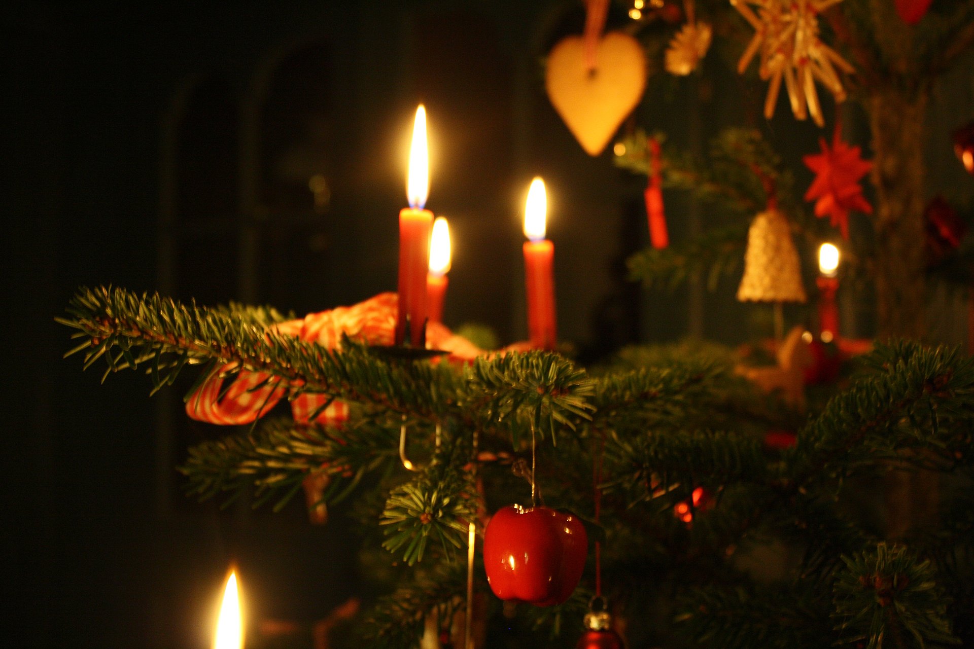 Nahaufnahme vom Weihnachtsbaum im Haus am Landsende auf Hallig Hooge