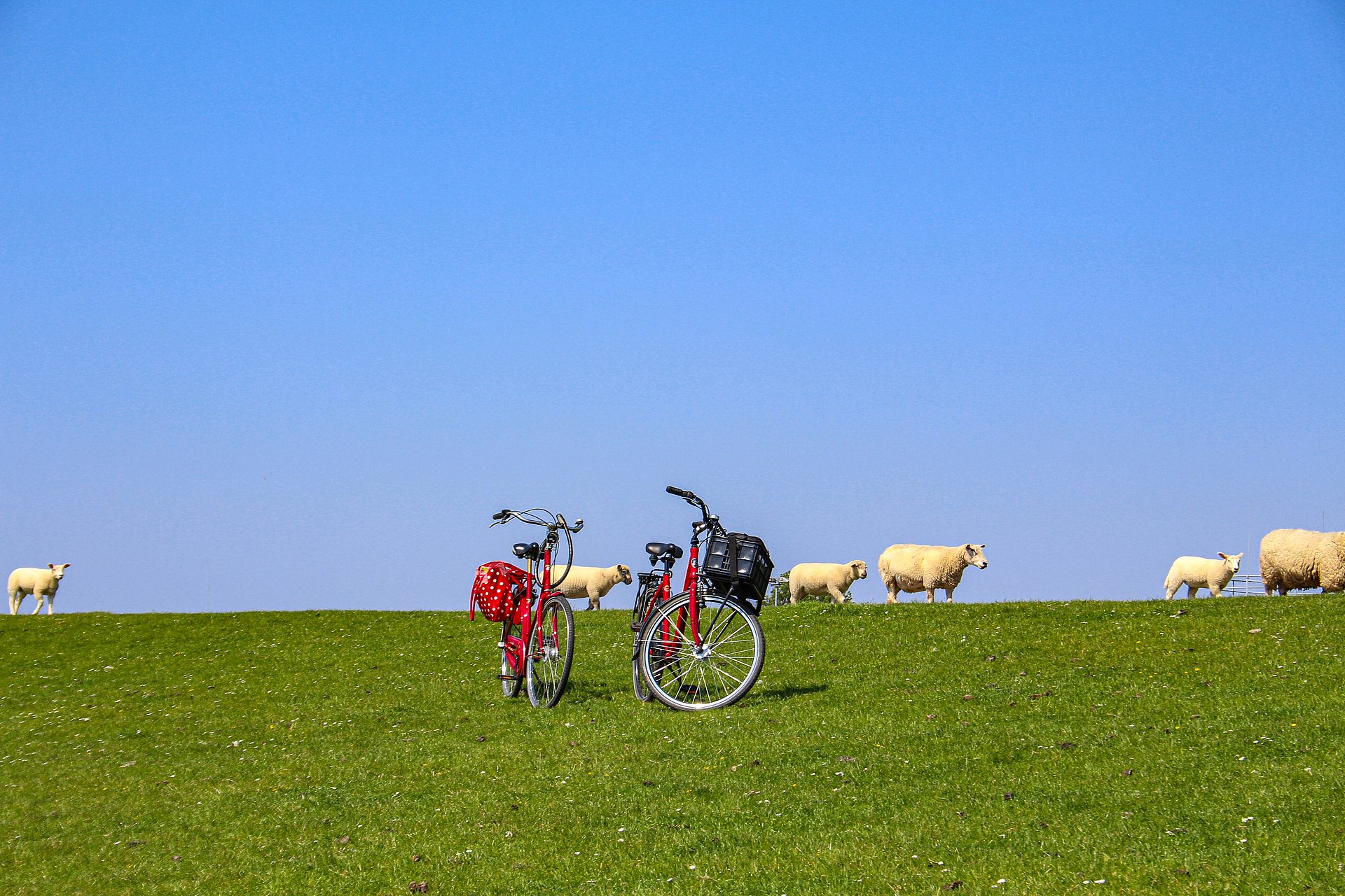 Fahrräder stehen während einer Pause auf dem Deich bei Büsum.