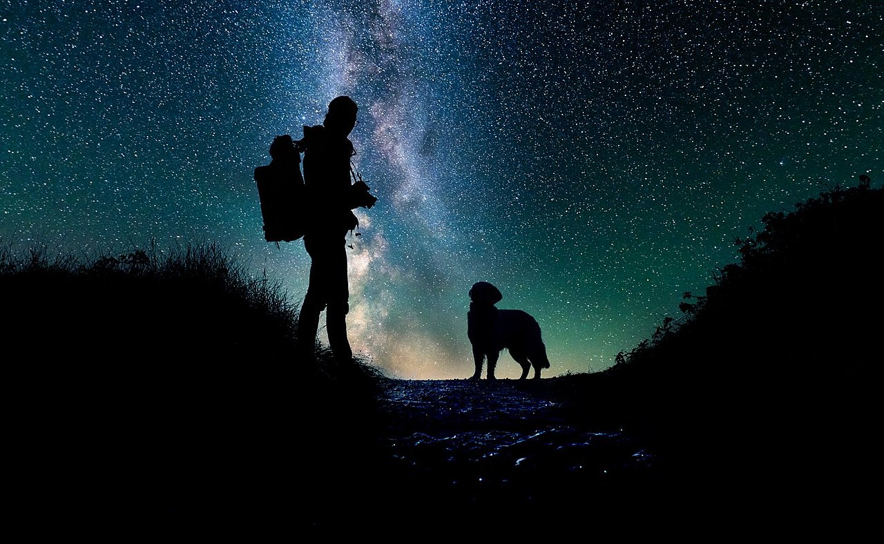 Herrchen und Hund vor Sternenhimmel