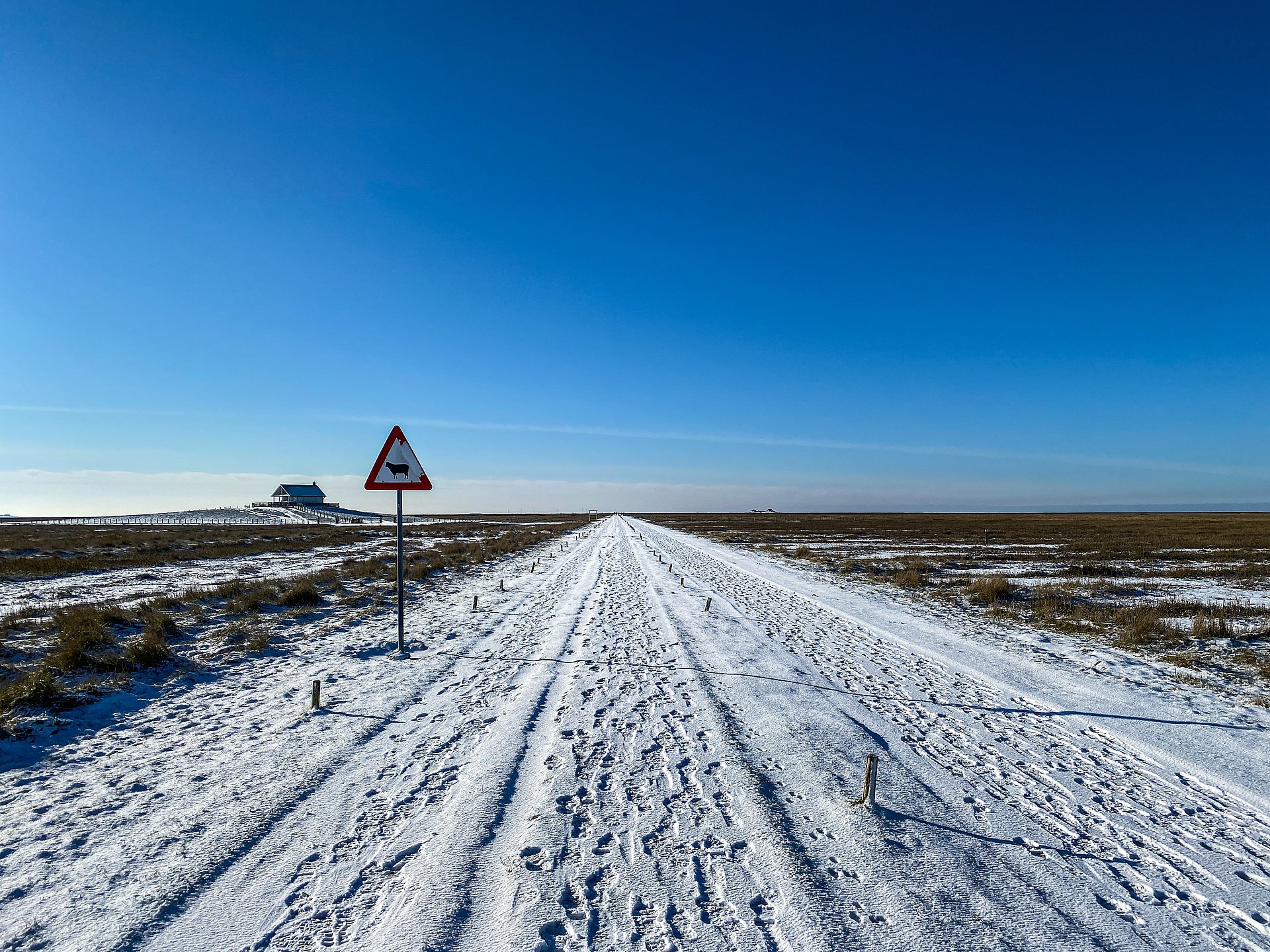 verschneiter Weg in Nordfriesland