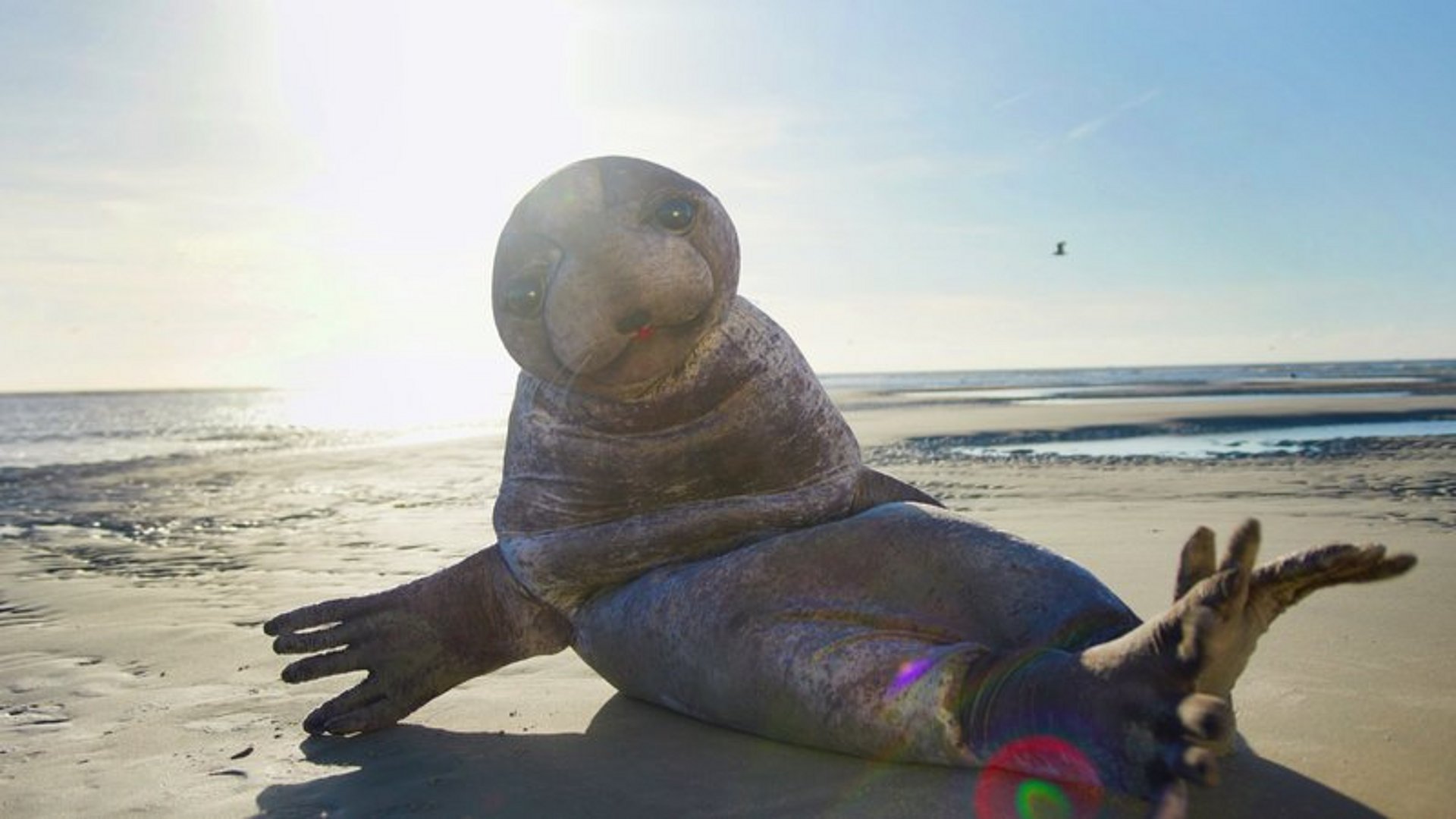 Figur einer Robbe am Strand, im Hintergrund das Meer