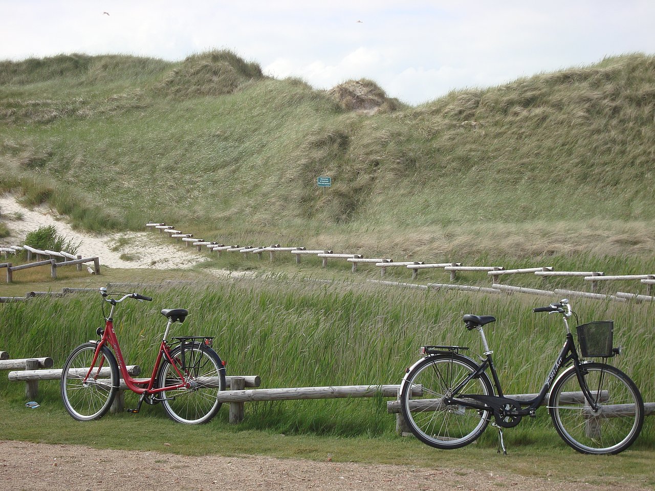 Nordsee_Amrum Dünen Fahrrad 3