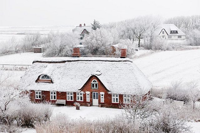 Reetdachhaus schneebedeckt Westerhever