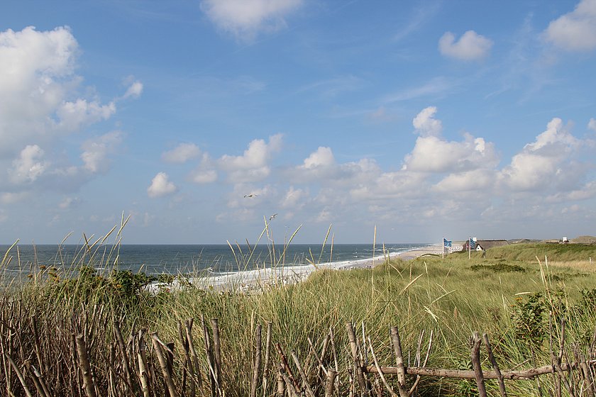 Grasbewachsene Dünen auf Sylt, im Hintergrund sind Reetdachhäuser, der Strand und das Meer zu sehen