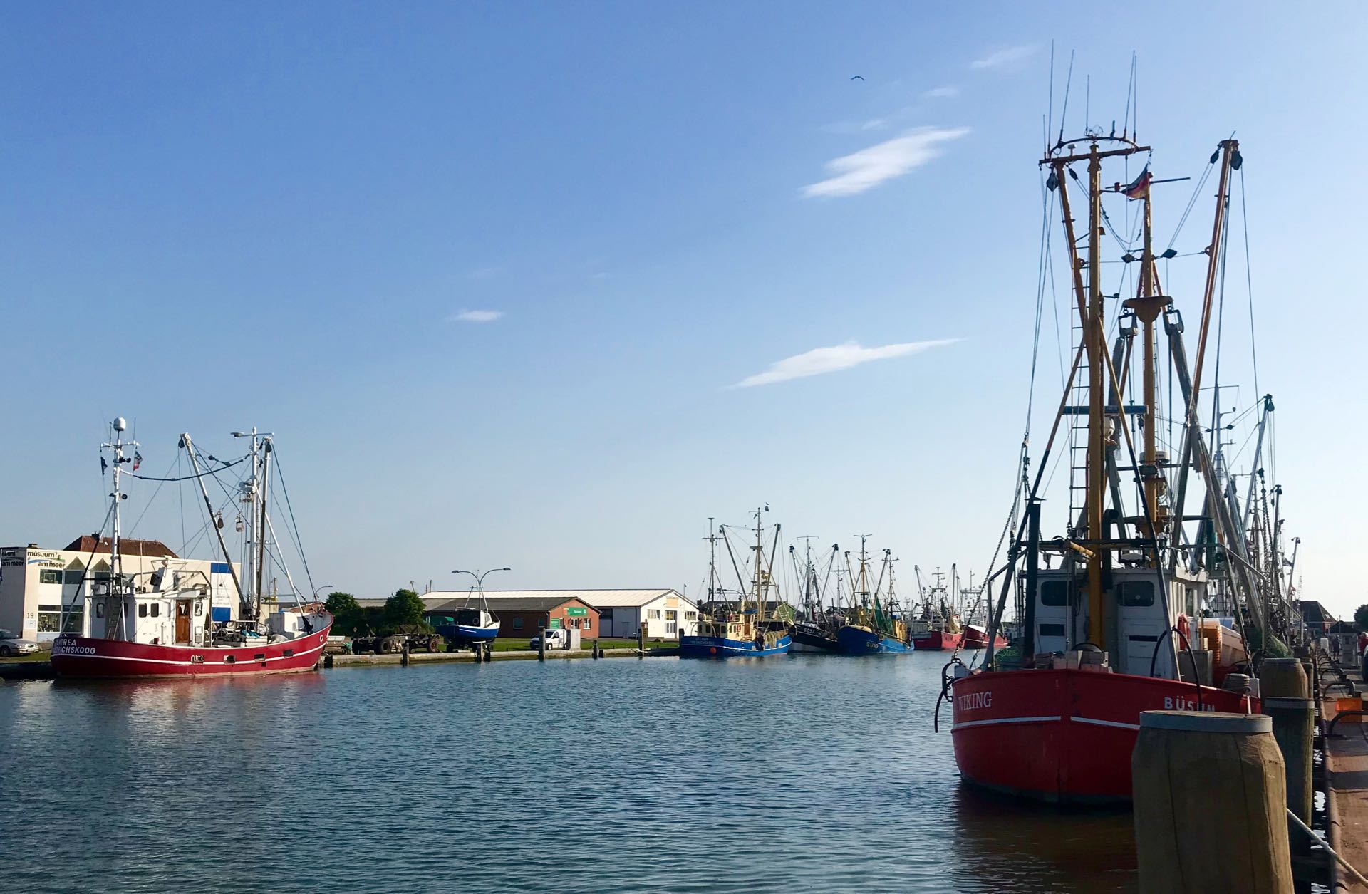 Krabbenkutter Büsum