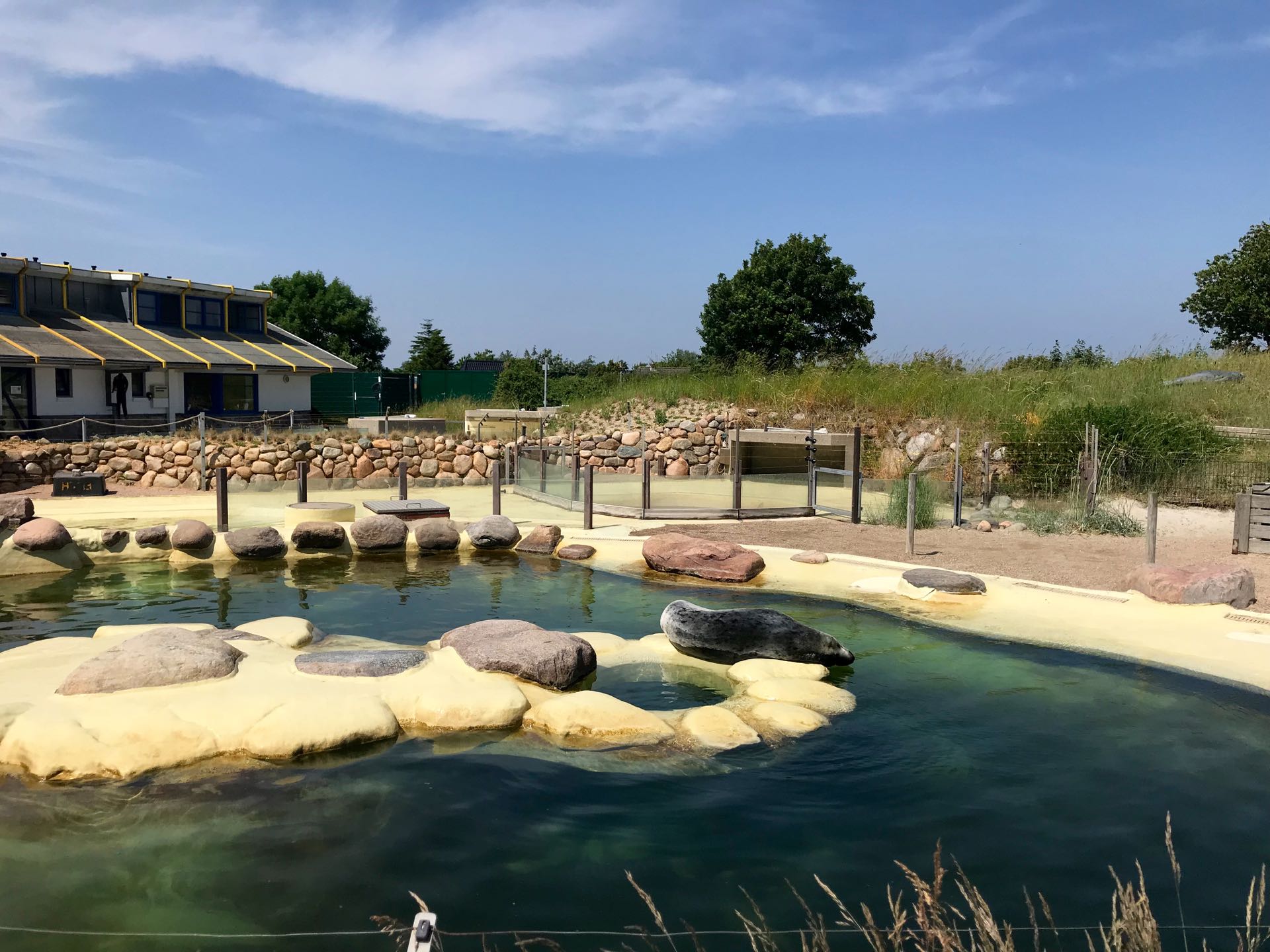 Seehundstation Friedrichskoog