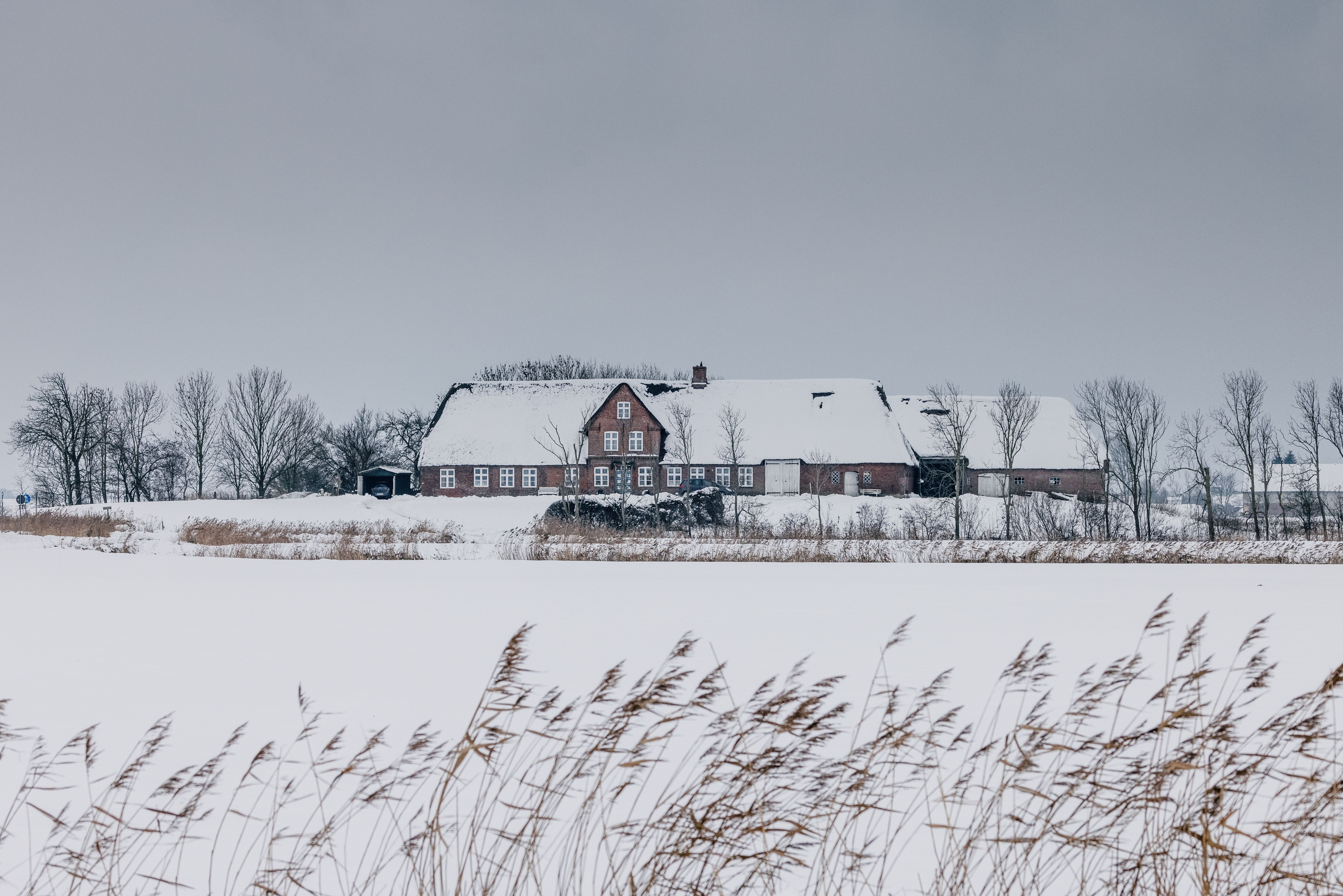 verschneites Reetdachhaus im Ockholm im Winter