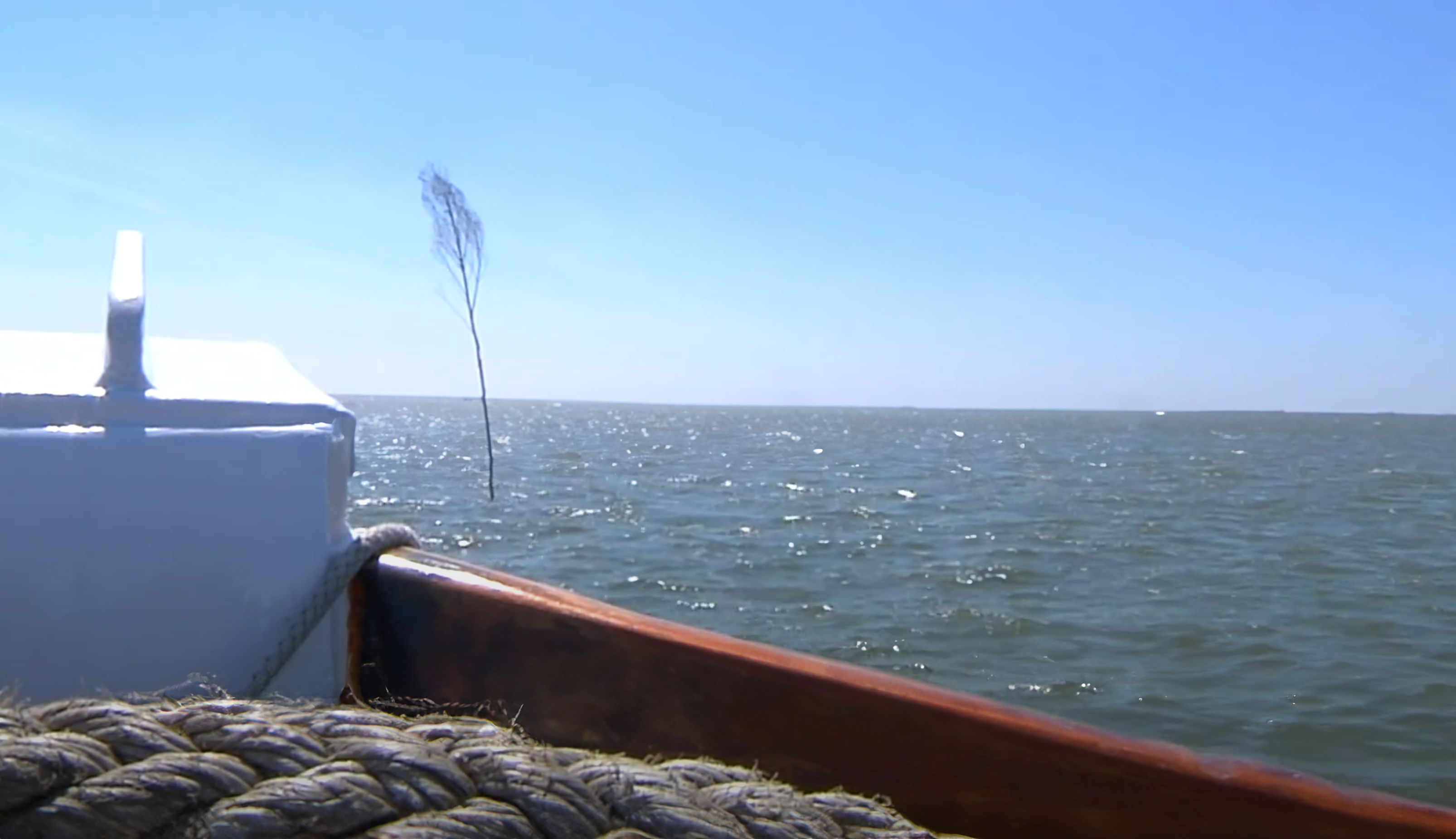 Wattwanderung zur Hallig und mit dem Schiff zurück
