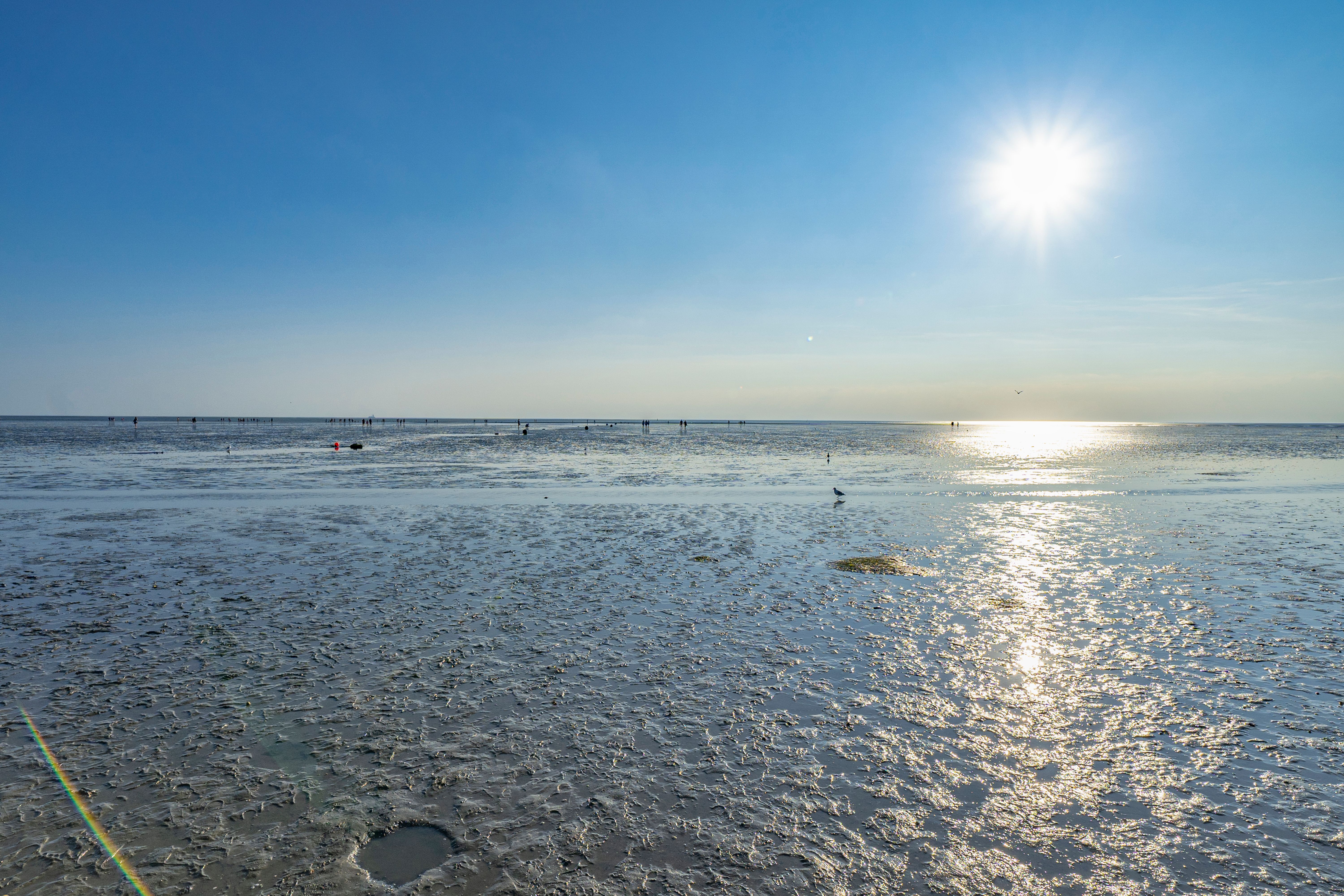 Blick über das Büsumer Wattenmeer im Sommer