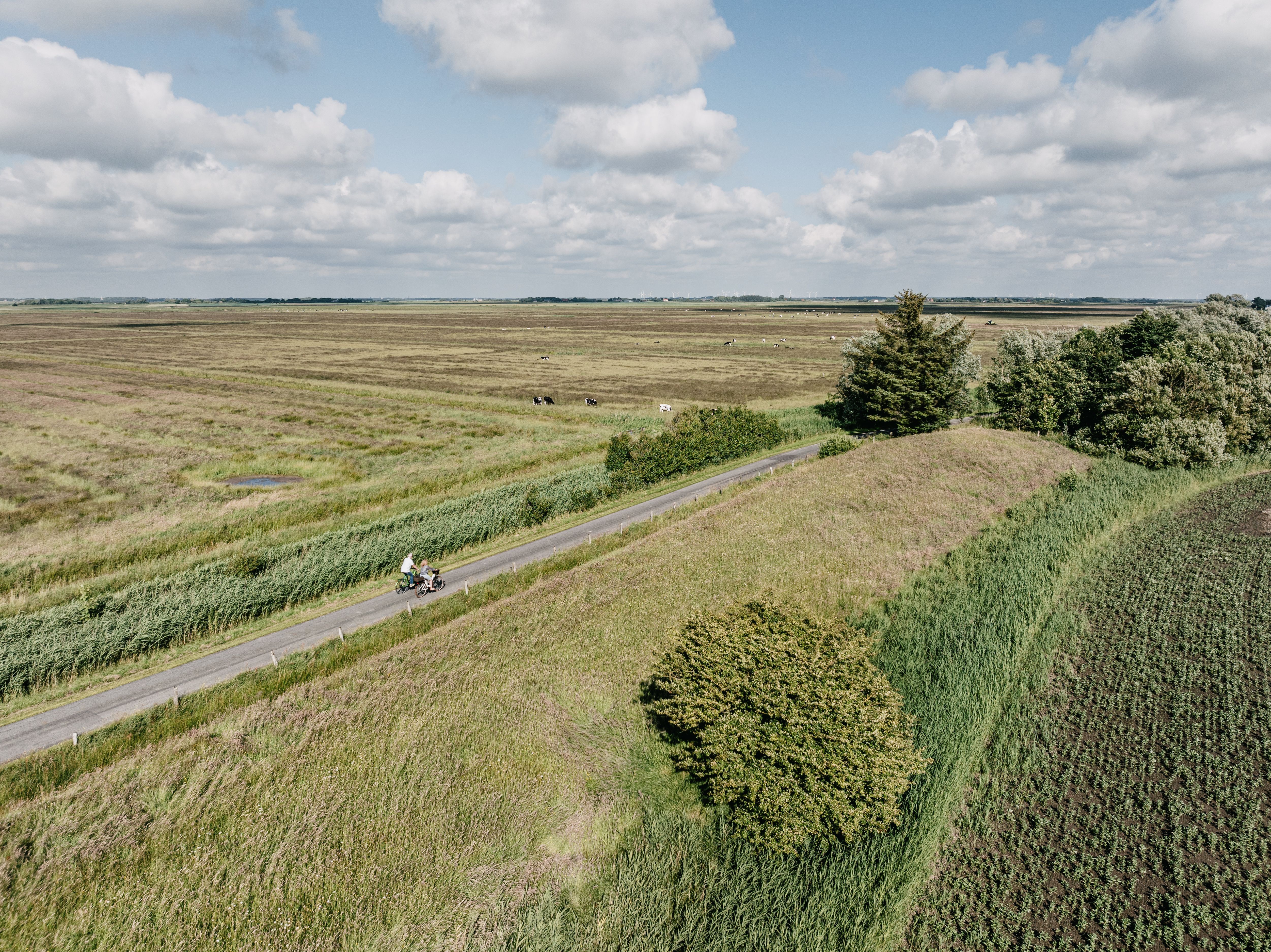 Fahrrad fahren durch die Landschaft von Rodenäs in der Wiedingharde. Foto: Nordseeküste Nordfriesland | Markus Rohrbacher