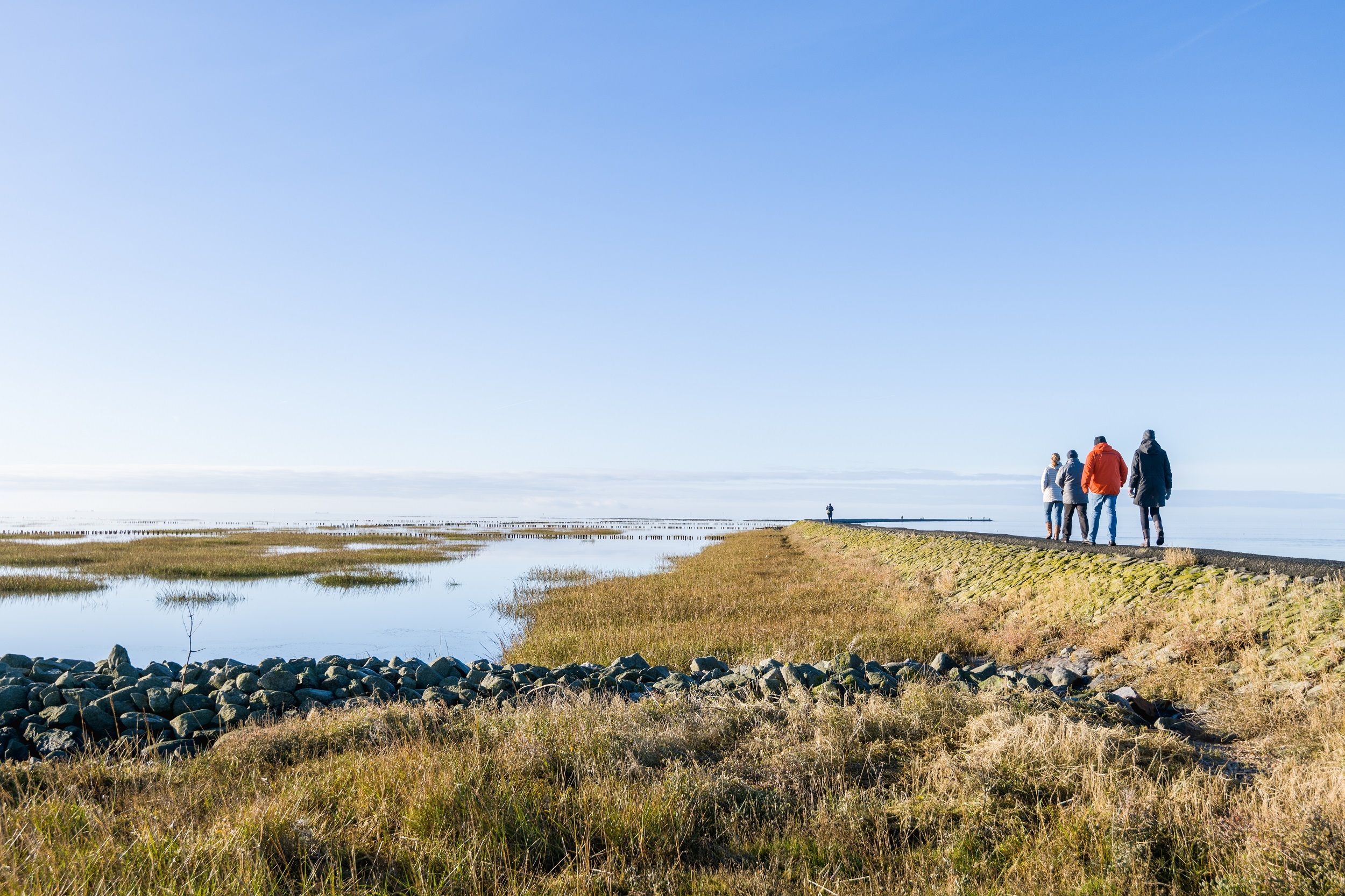 Eine Gruppe geht in Friedrichskoog hinaus auf den Trischendamm.