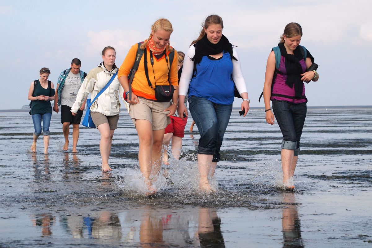 Eine Wattwanderung bei Ebbe gehört zu einem Urlaub an der Nordsee einfach dazu.