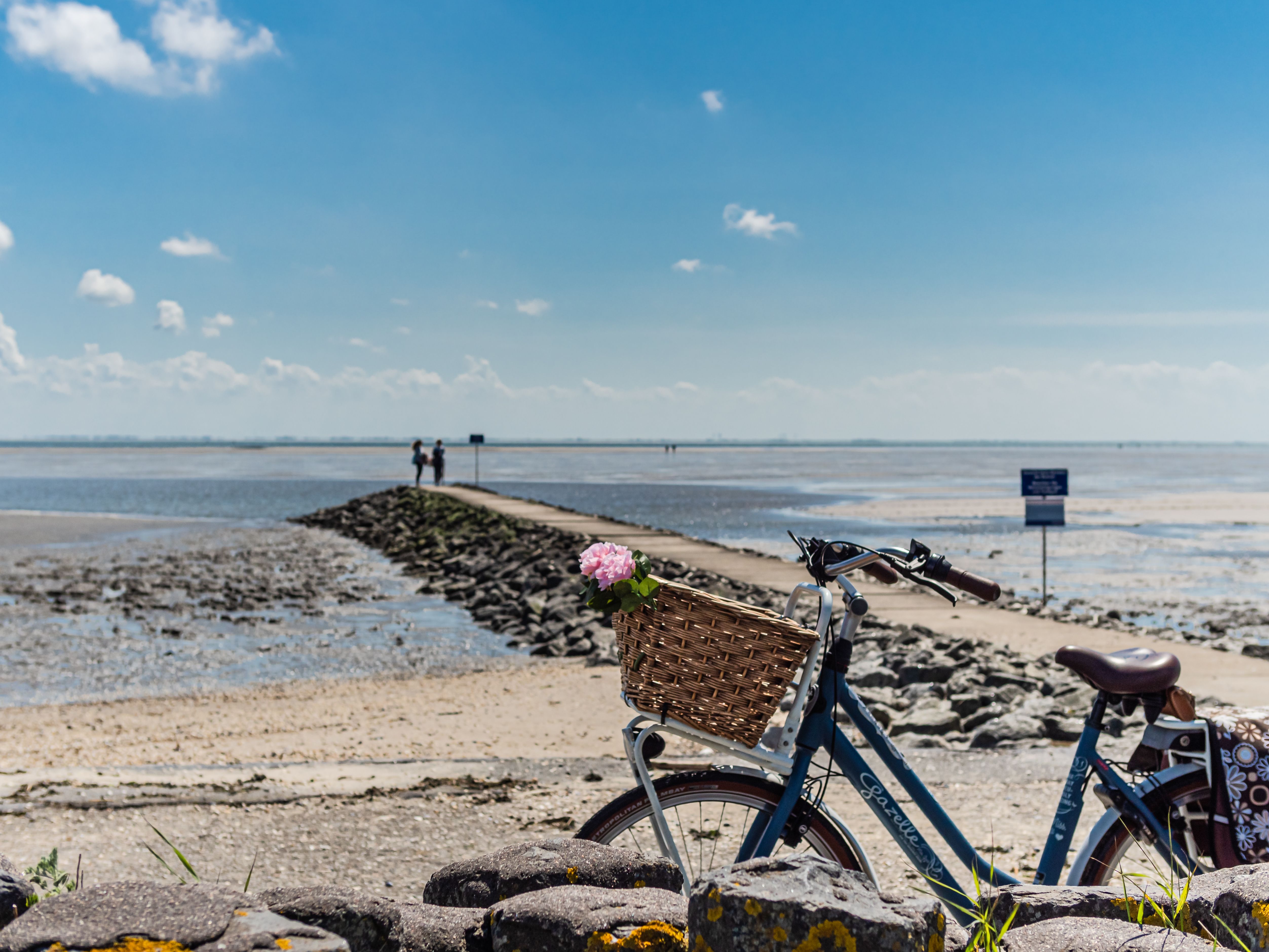 Radfahren auf Pellworm