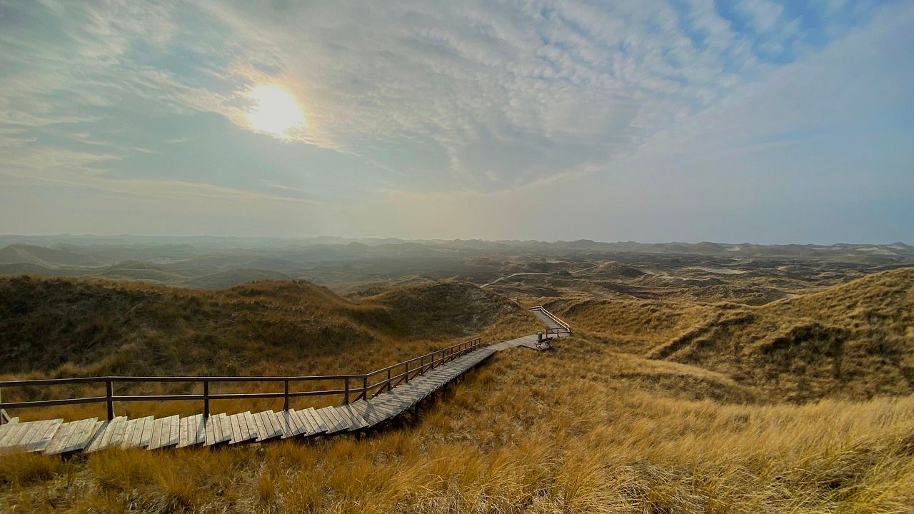 boardwalk-6378794_1280