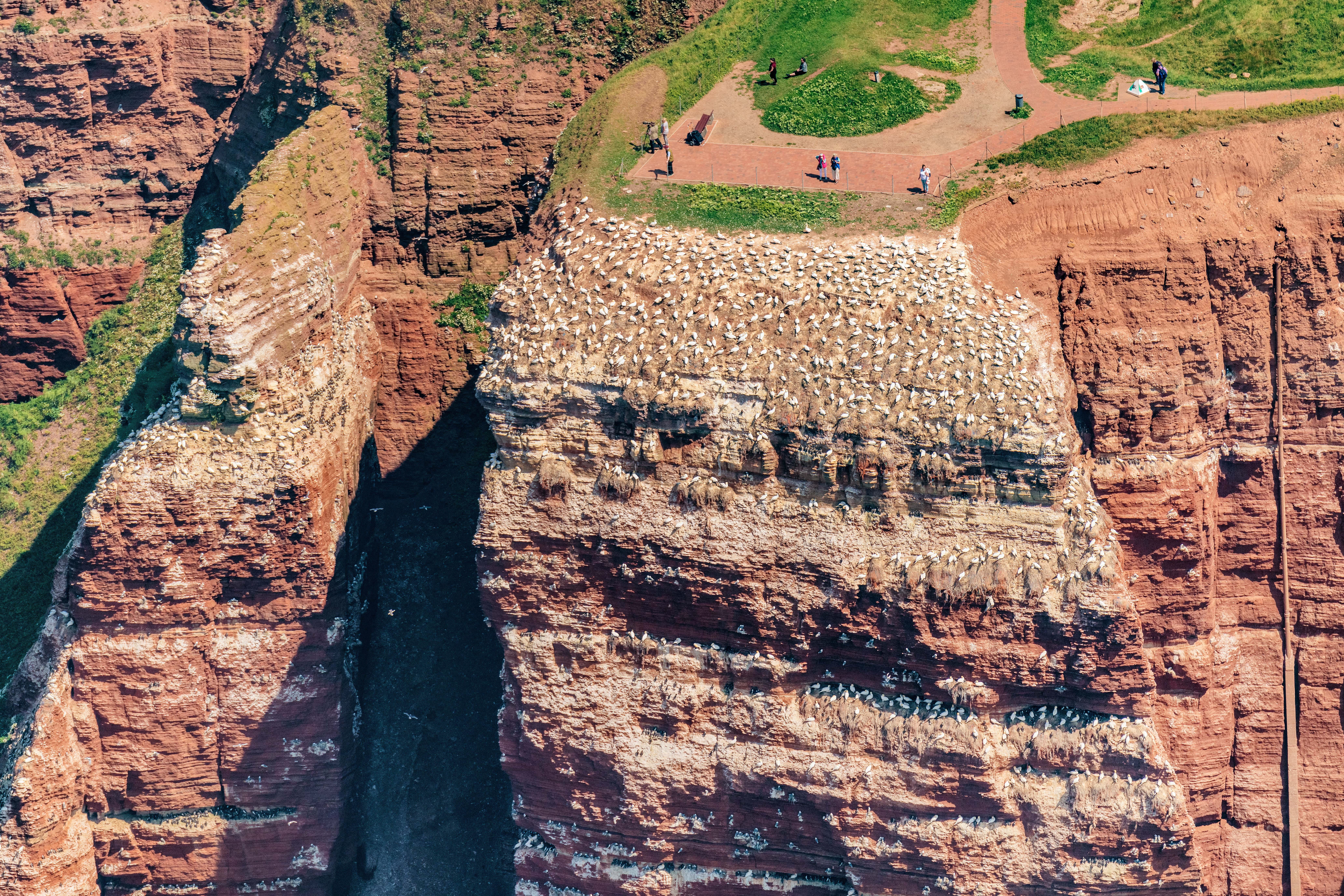 Blick auf den Lummenfelsen