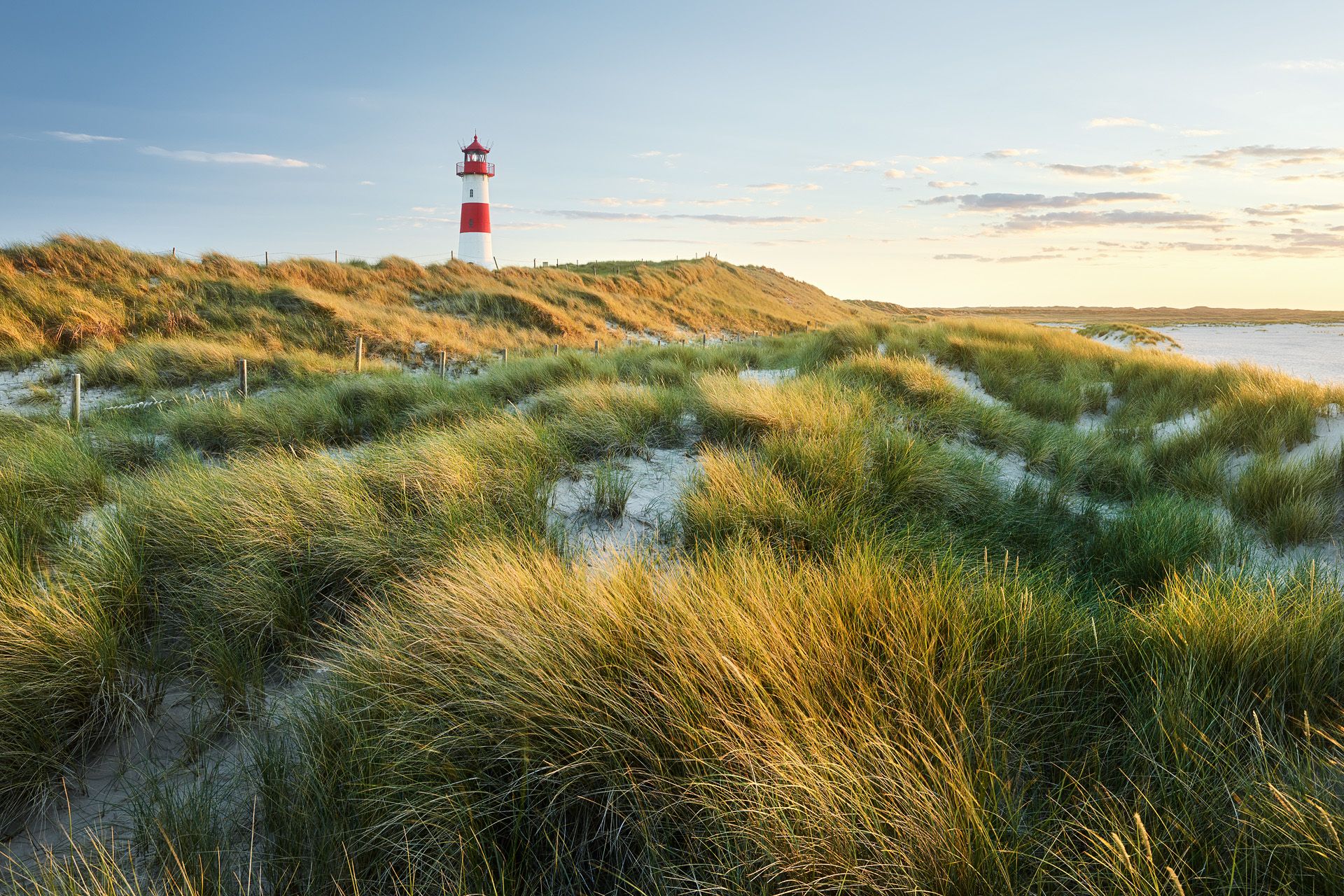 Lister Dünenlandschaft, im Hintergrund der Leuchtturm von List