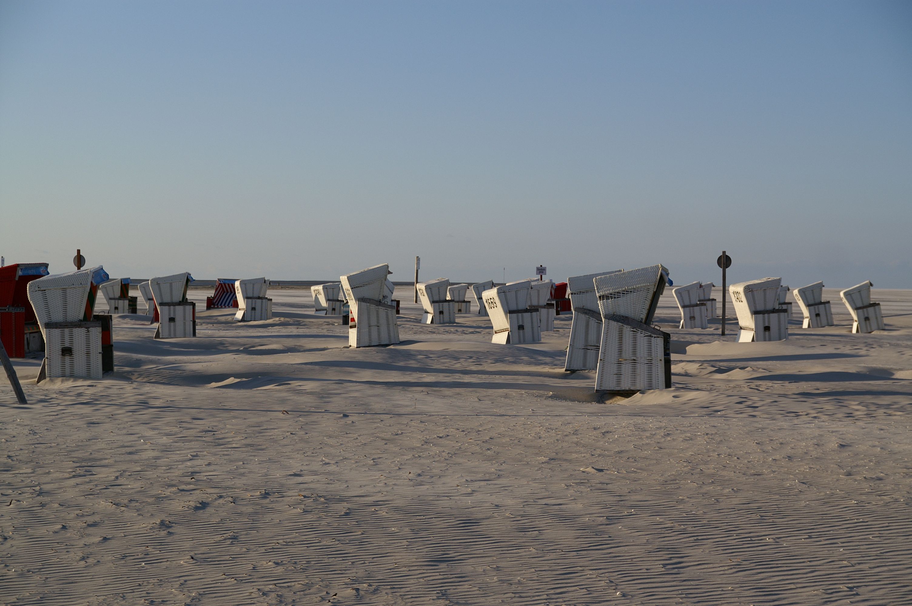 viele weiße Strandkörbe stehen auf dem weißen Sandstrand von St. Peter-Ording