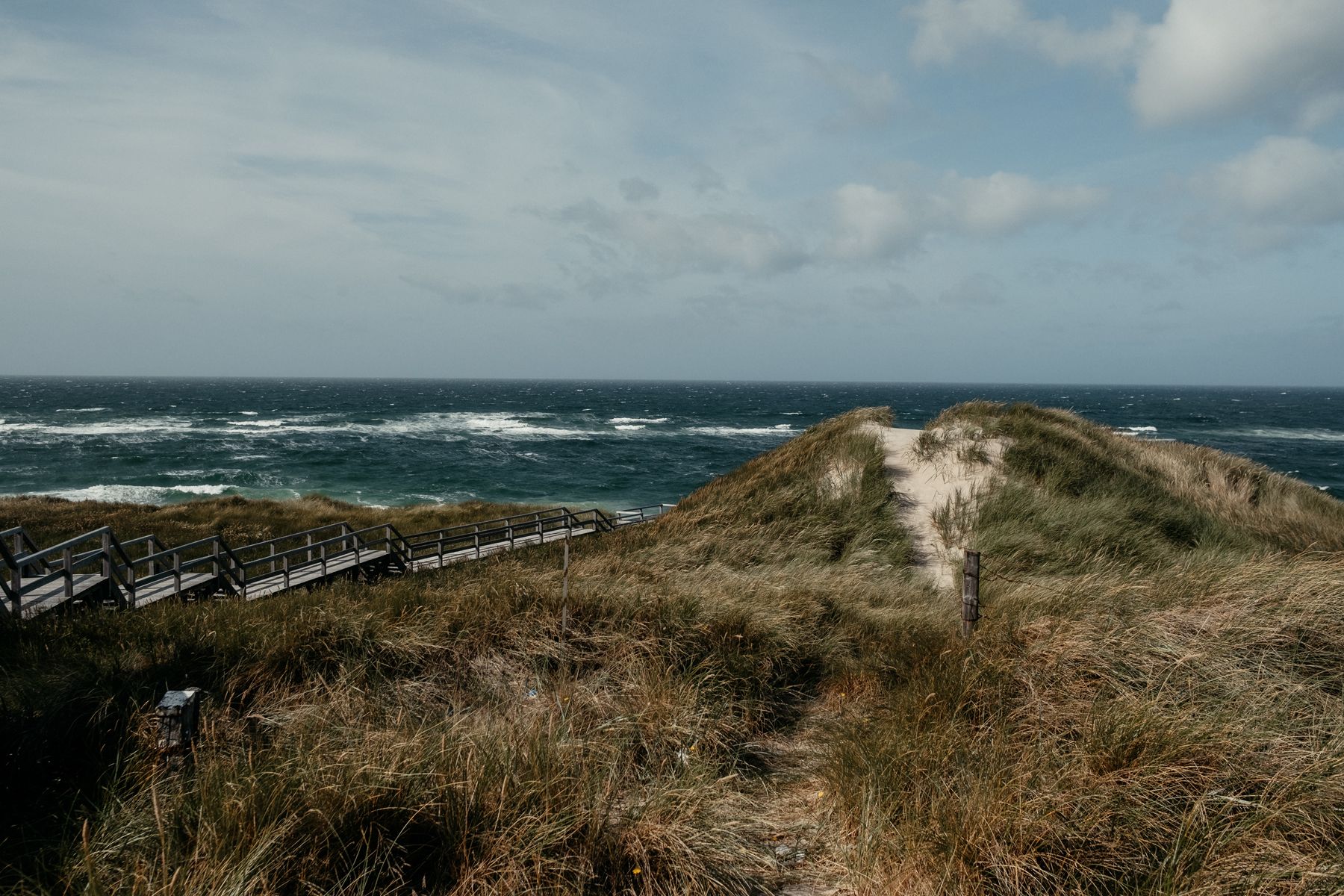 Dünenlandschaft mit Bohlenweg