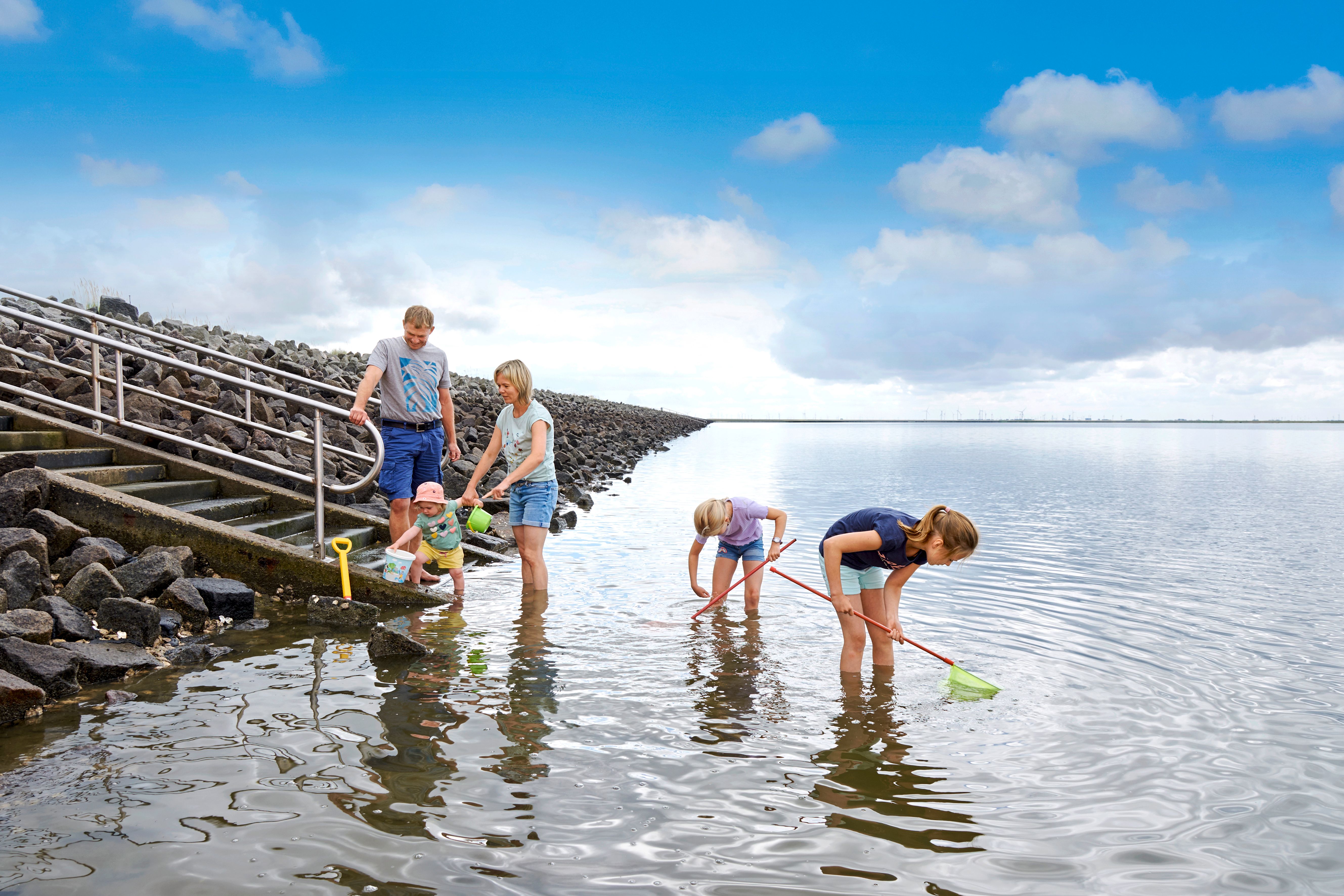 Familie schaut nach kleinen Tieren im Wasser