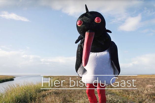 Hier bist du Gast - Benimmvideos