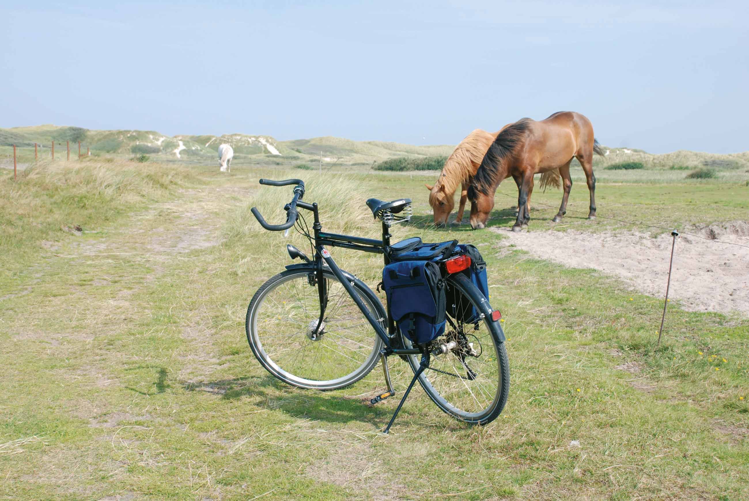 Fahrrad Amrum