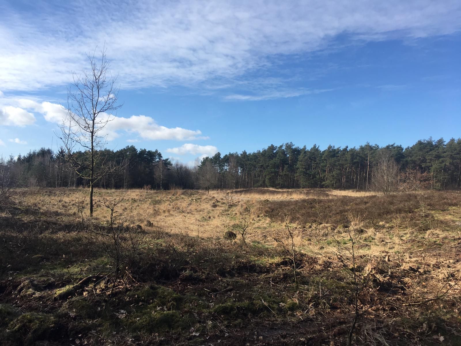 Gudendorfer Heide