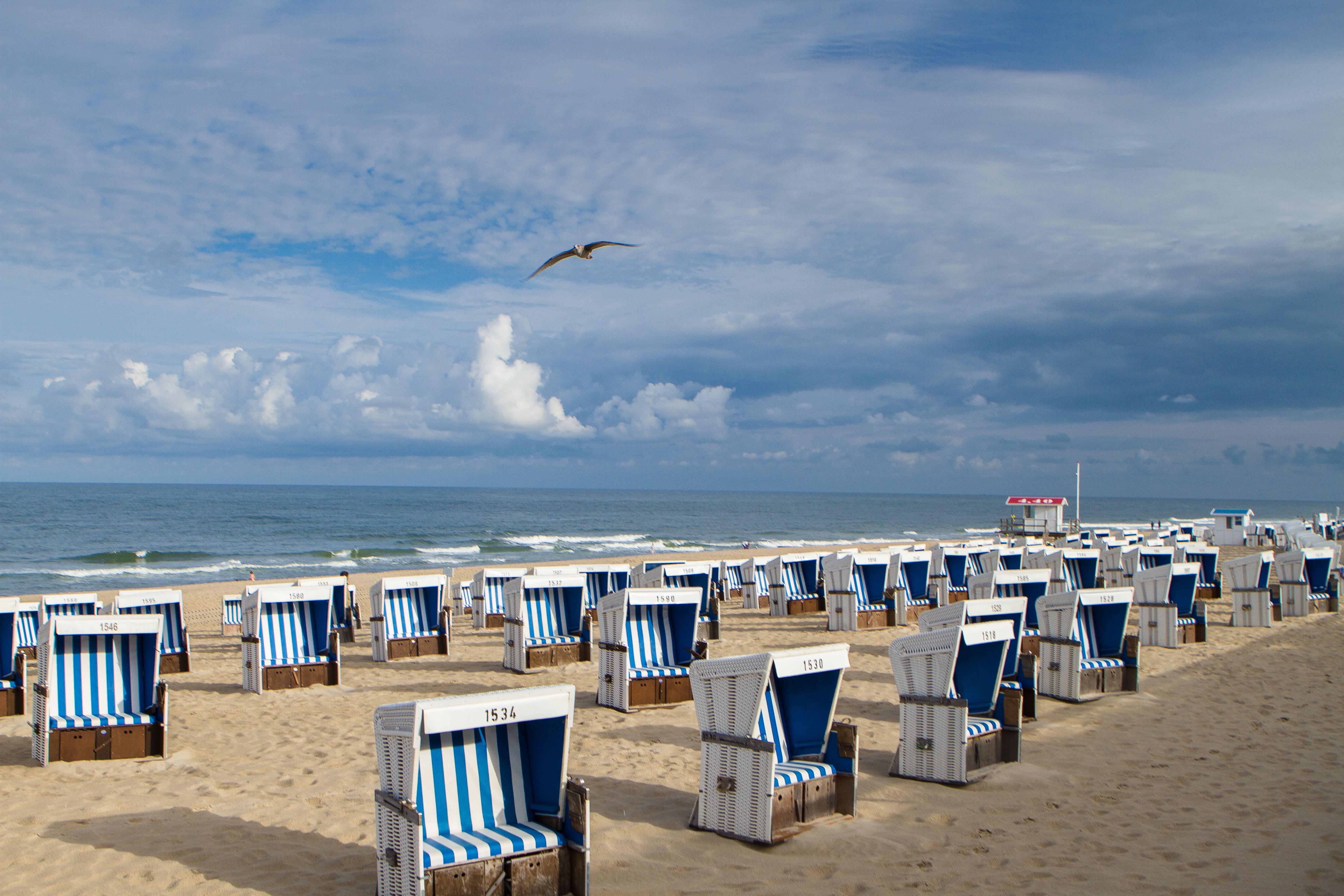 Viele Strandkörbe stehen am Strand von Westerland