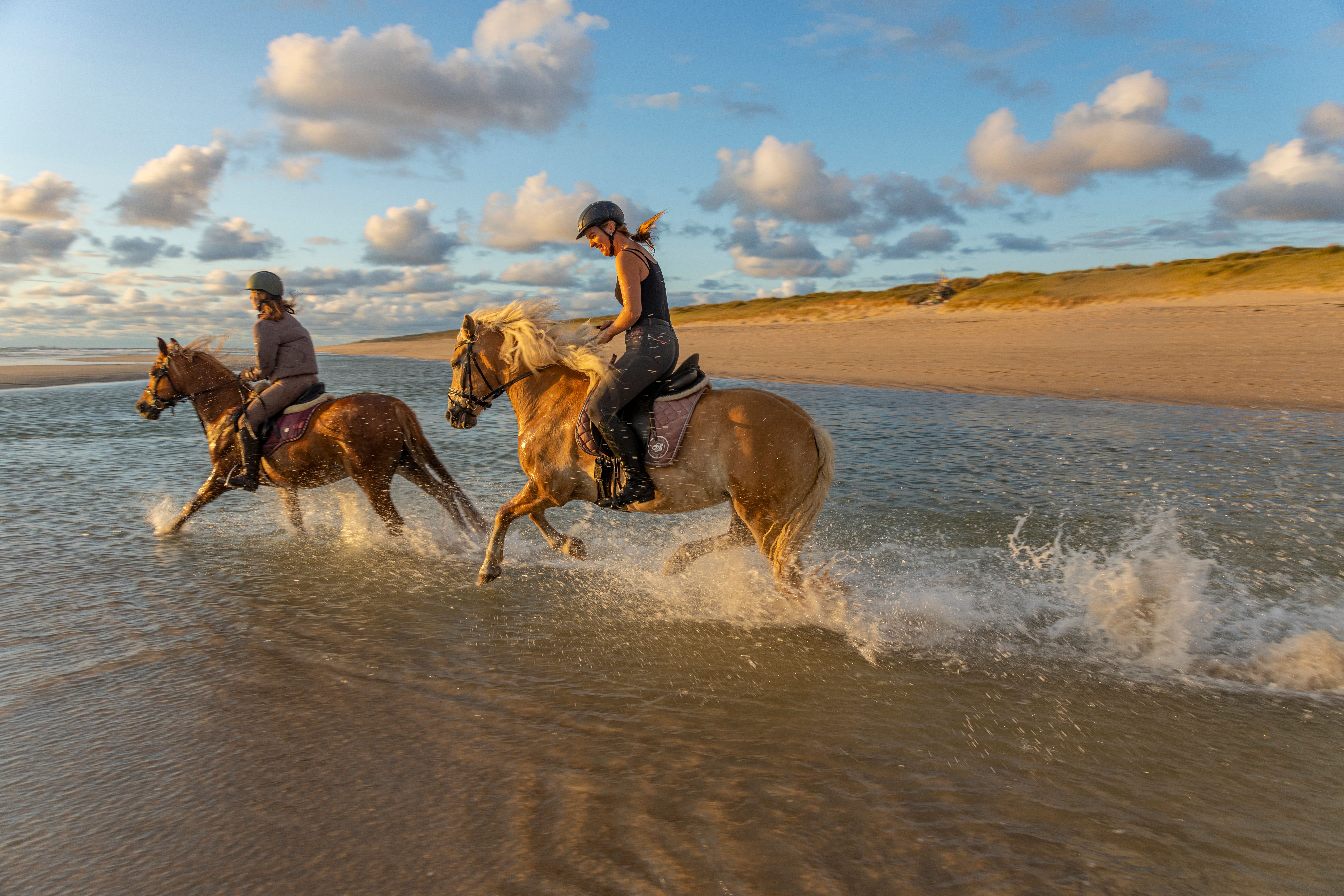 Zwei Reiterinnen galoppieren mit ihren Pferden durch das flache Wasser am Strand von Rantum