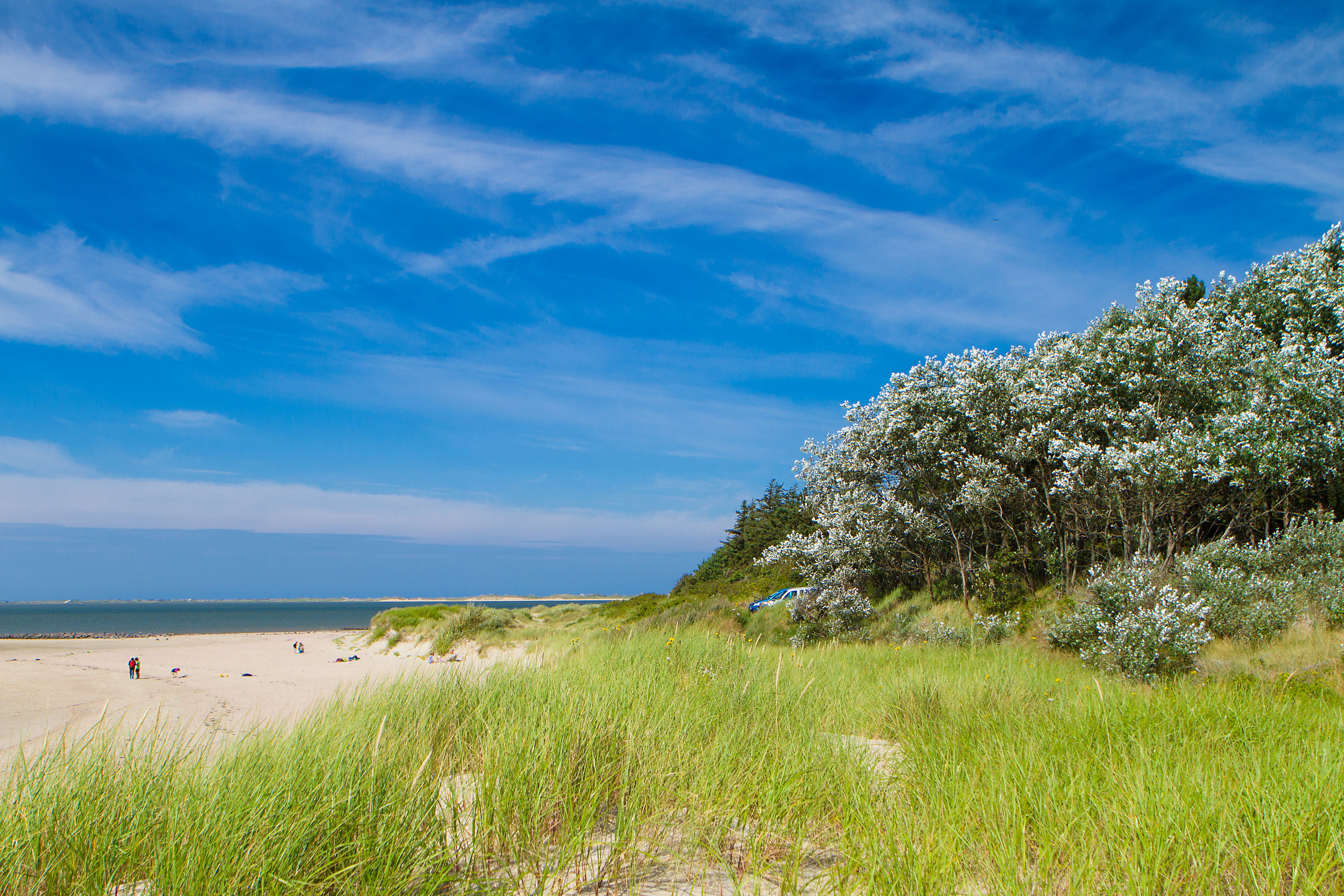 Strand auf Föhr