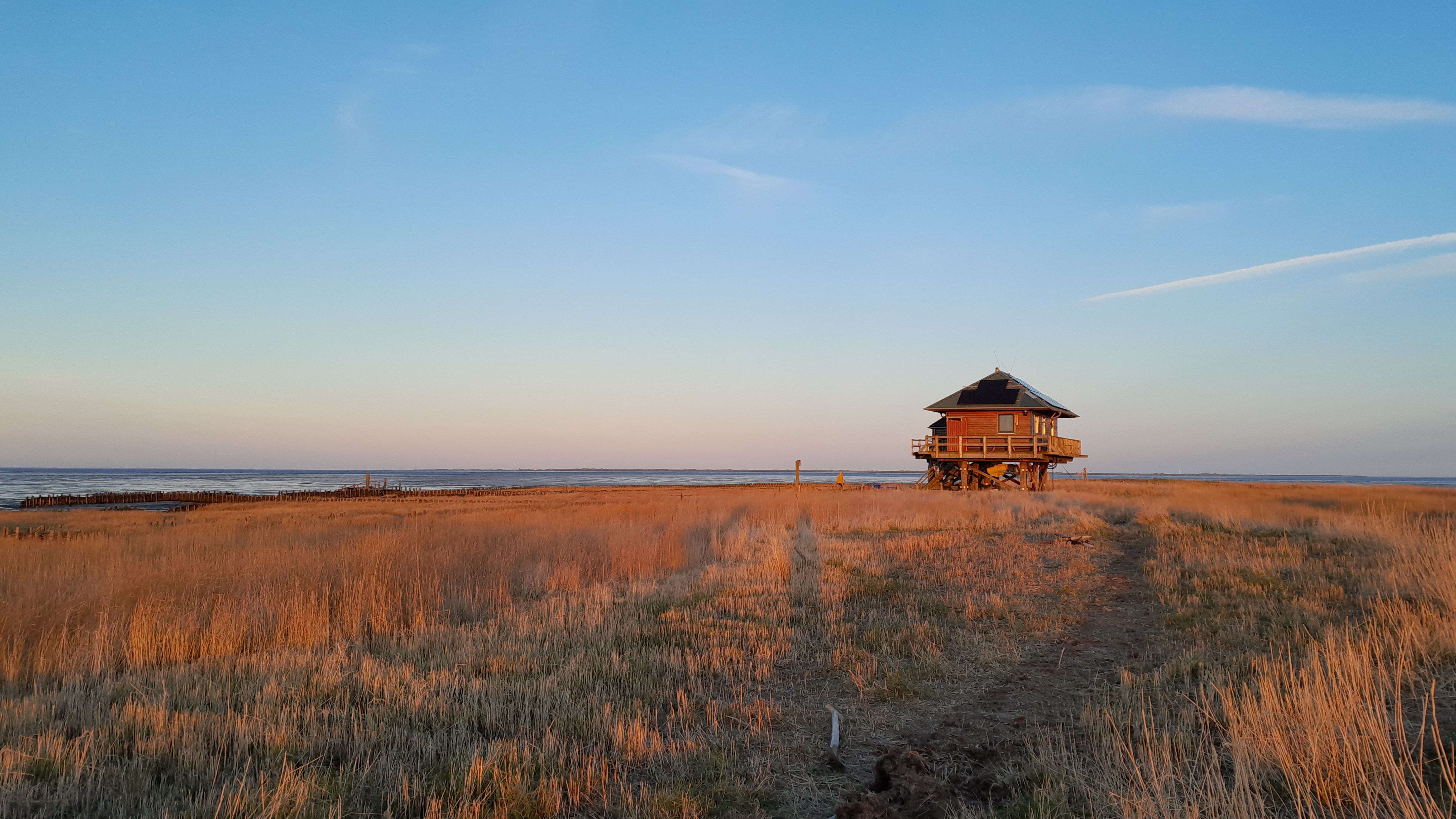 Blick über die Wiesen von Hallig Norderoog