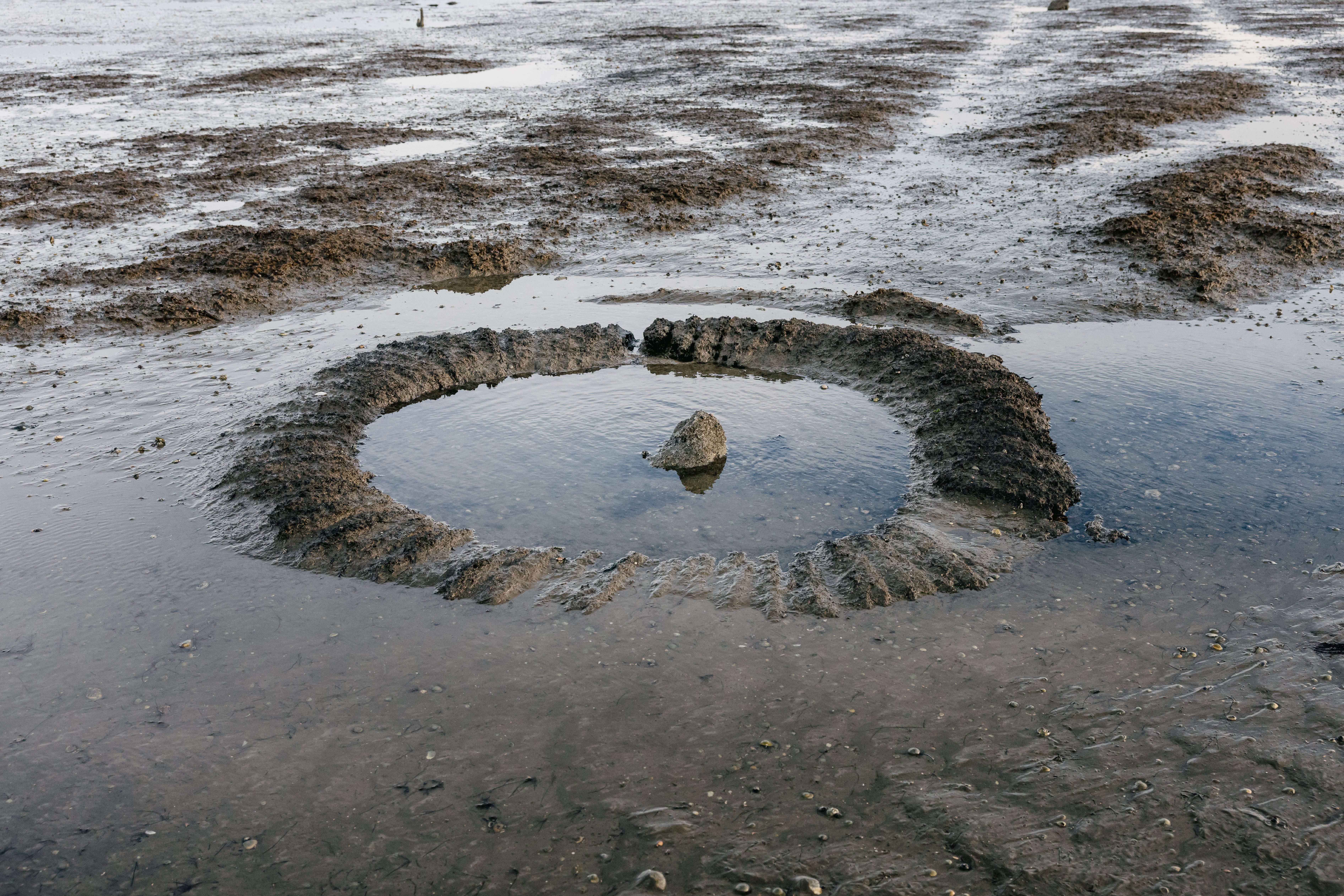 Brunnenring im Wattenmeer als Überbleibsel der versunkenen Stadt Rungholt