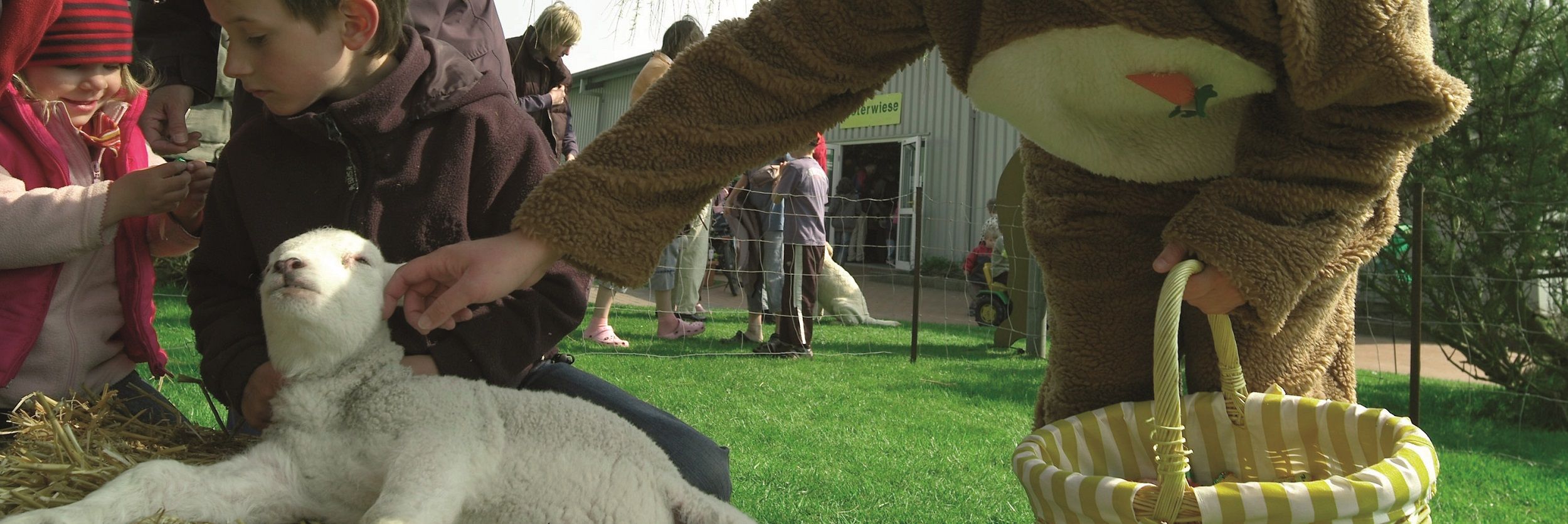 Der Osterhase zu Gast auf Pellworm