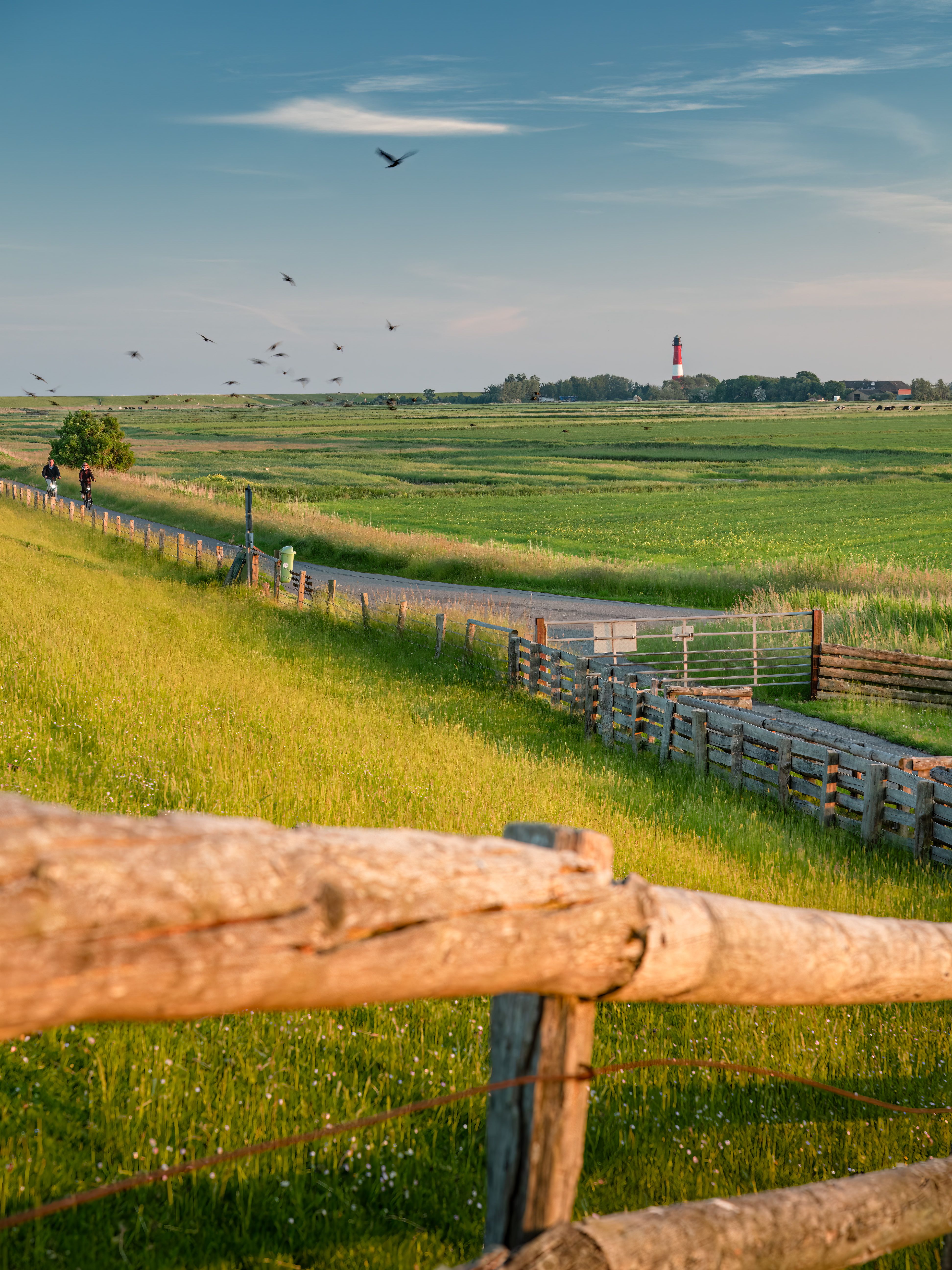 Blick vom Deich hin zum Pellwormer Leuchtturm