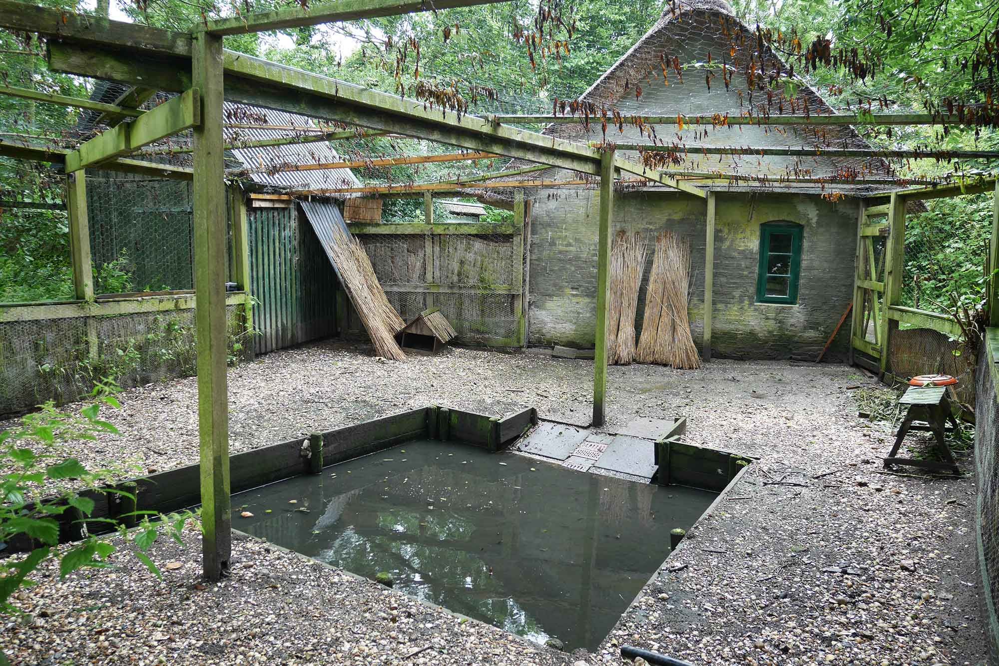 Brixumer Vogelkoje