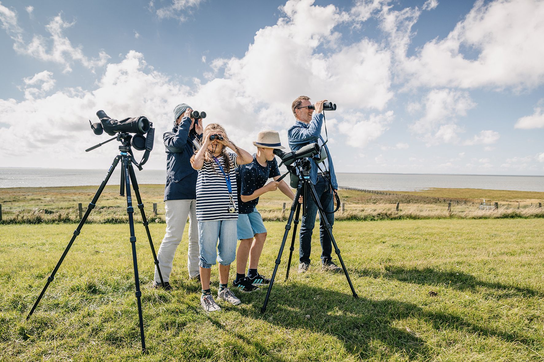 Vogebeobachtung im Rickelsbürger Koog, Nordfriesland