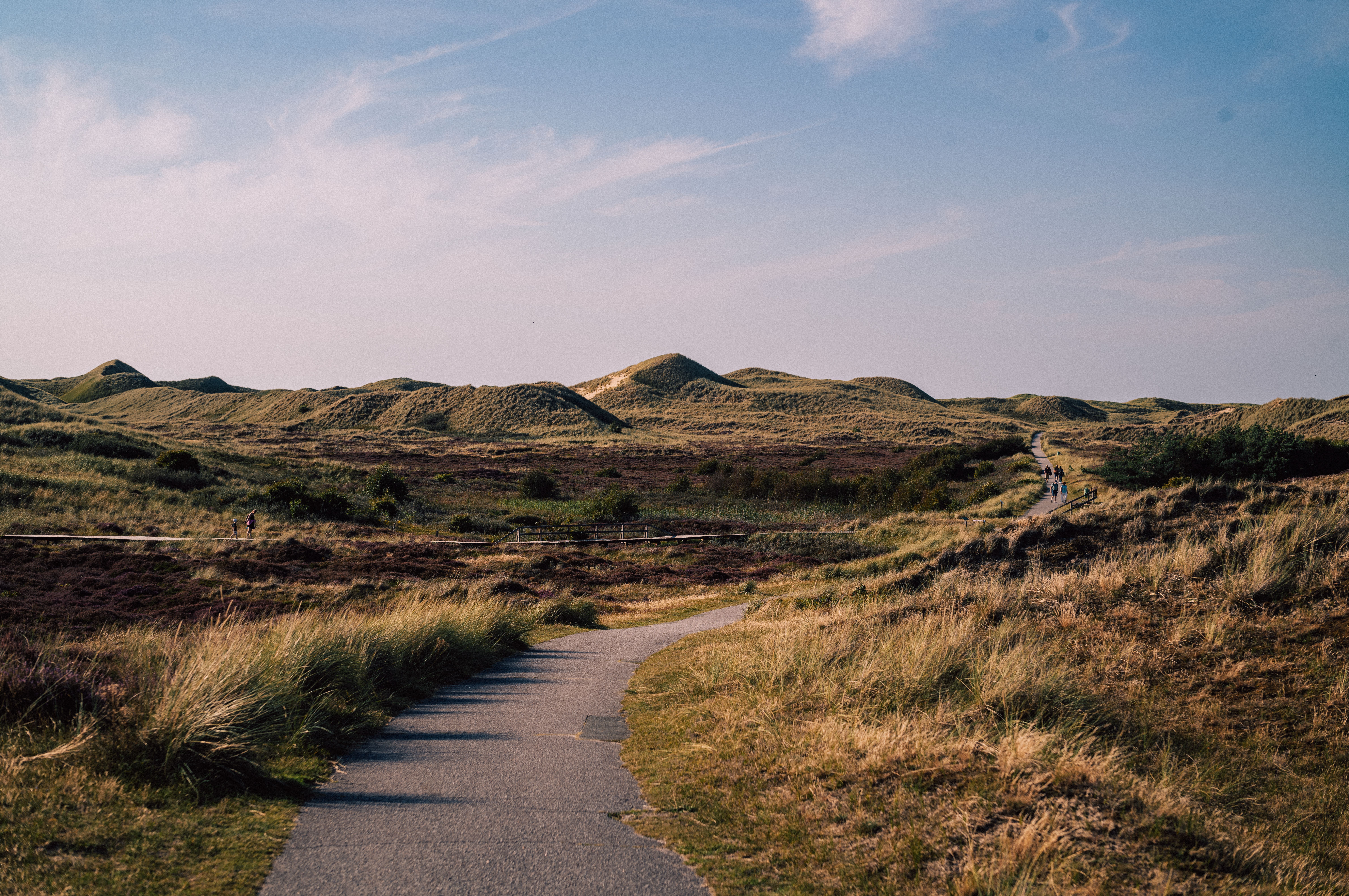 Blick auf einen Weg zwischen Dünen auf Amrum
