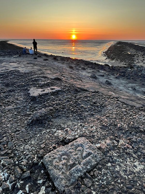 Blick auf den Trischendamm im Sonnenuntergang. – Foto: Melanie Kiel