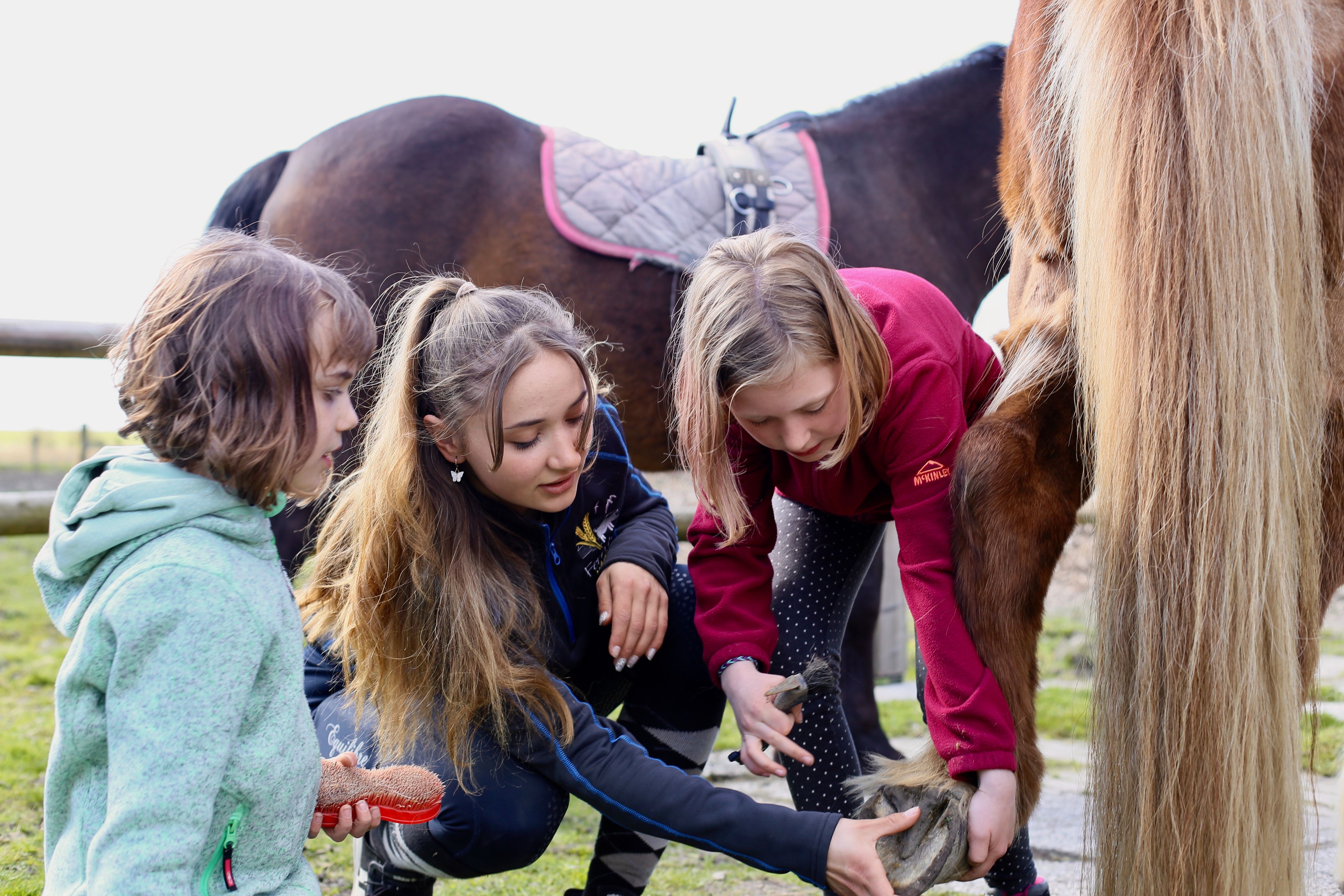 Spiel, Spaß und Entspannung auf dem Ferienhof bei Familie Wulff