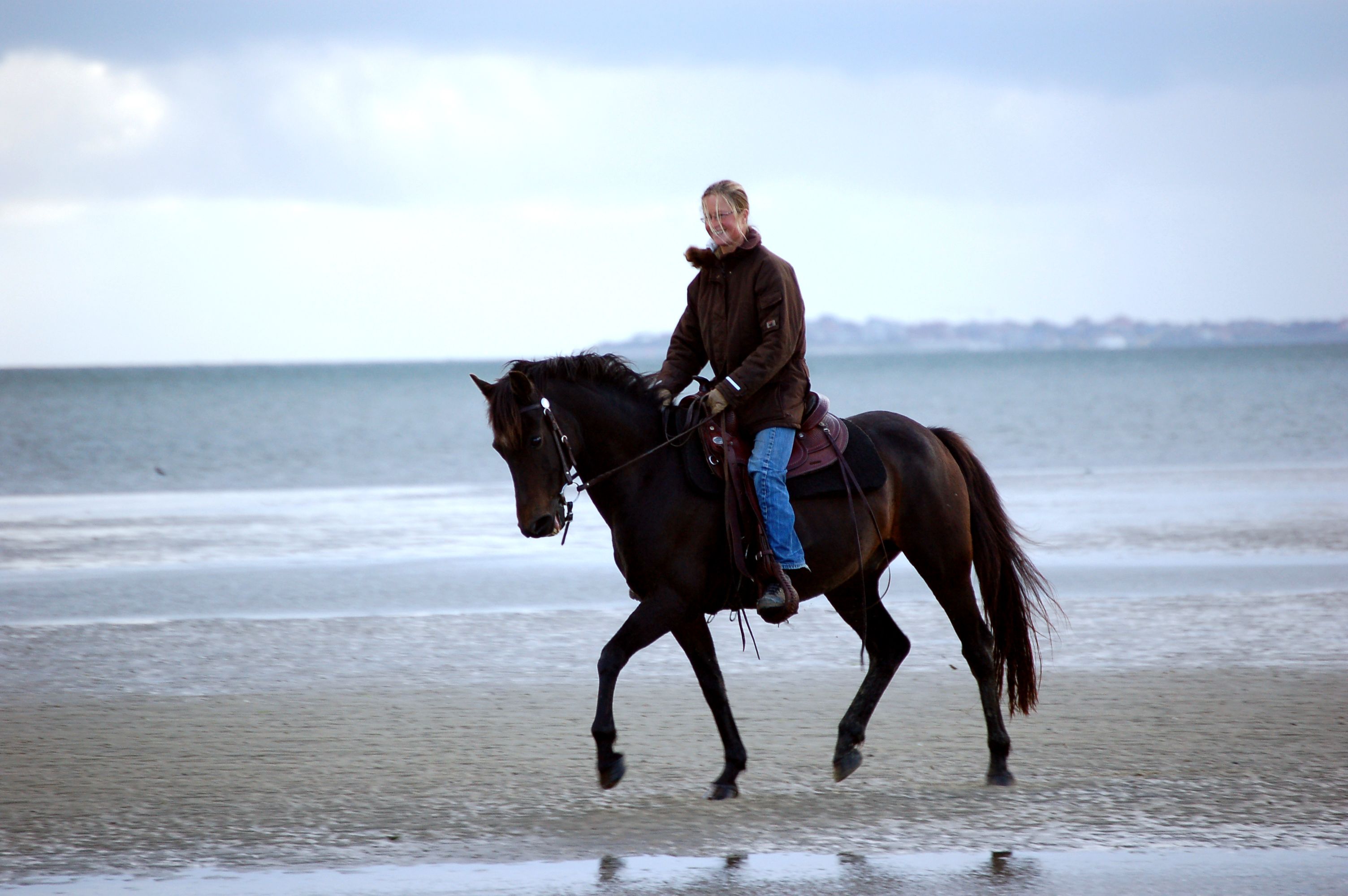 Mit dem Pferd im Watt auf Föhr