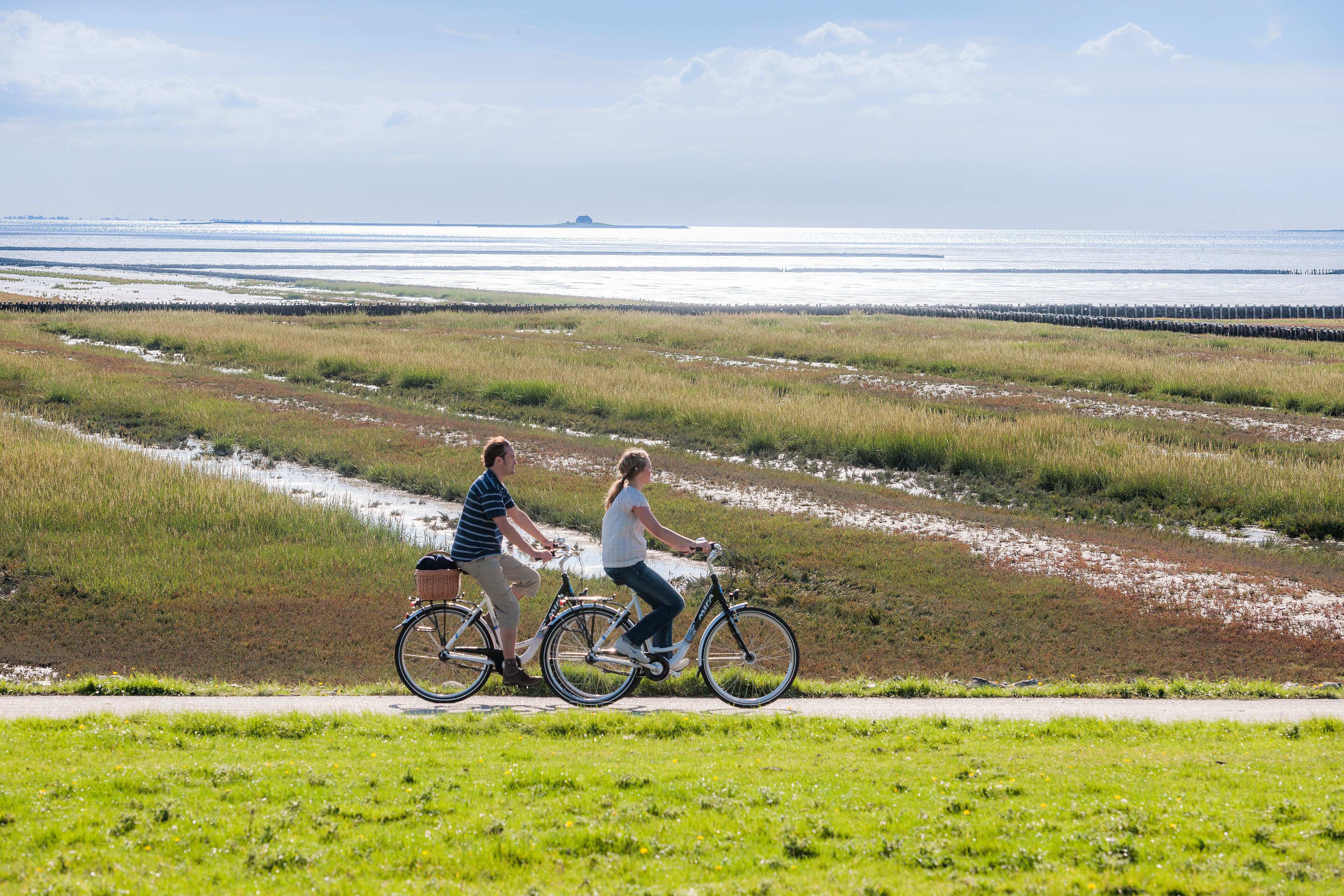 zwei Radfahrer fahren am Deich entlang