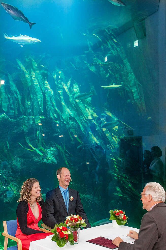 Ein Brautpaar lässt sich vor dem großen Aquarium trauen
