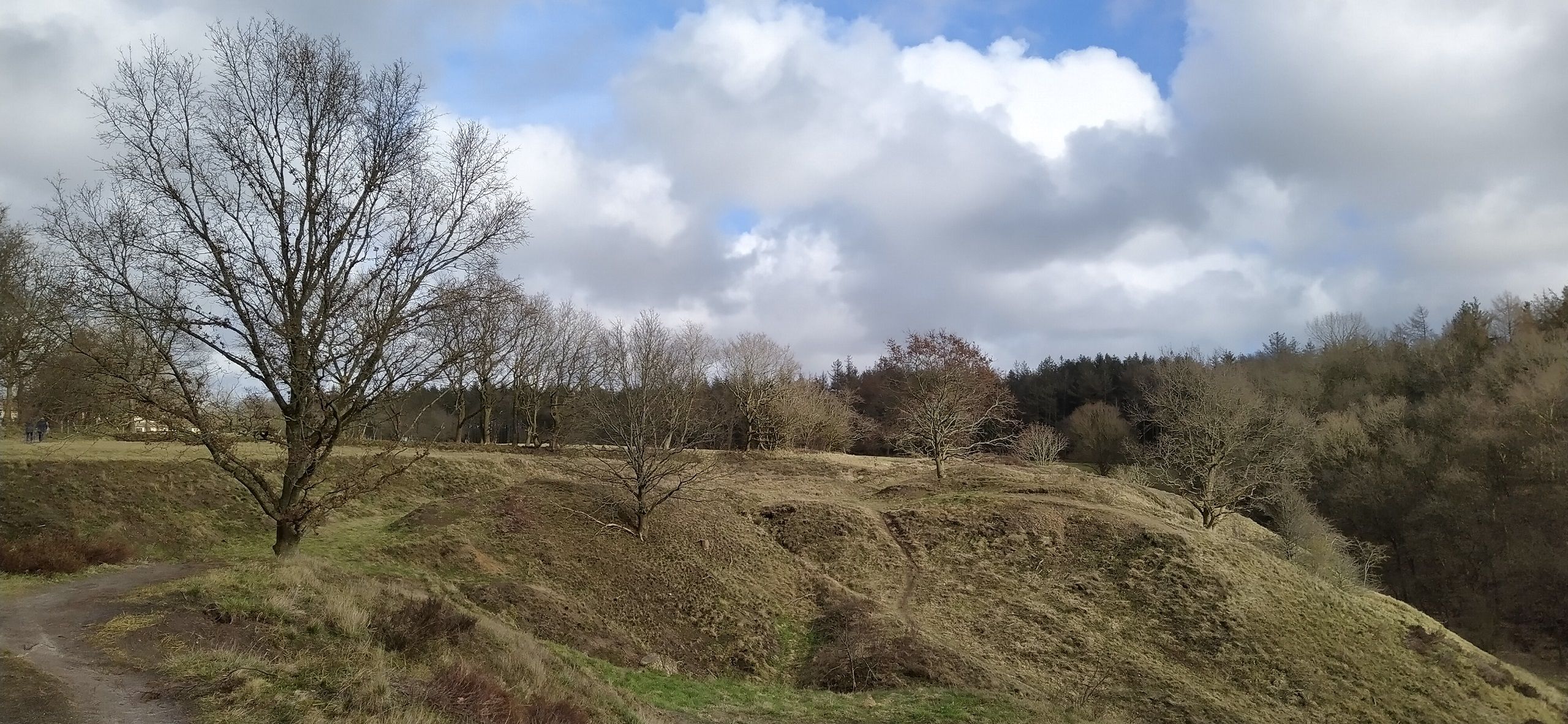 Blick vom Spiekerberg, St. Michaelisdonn