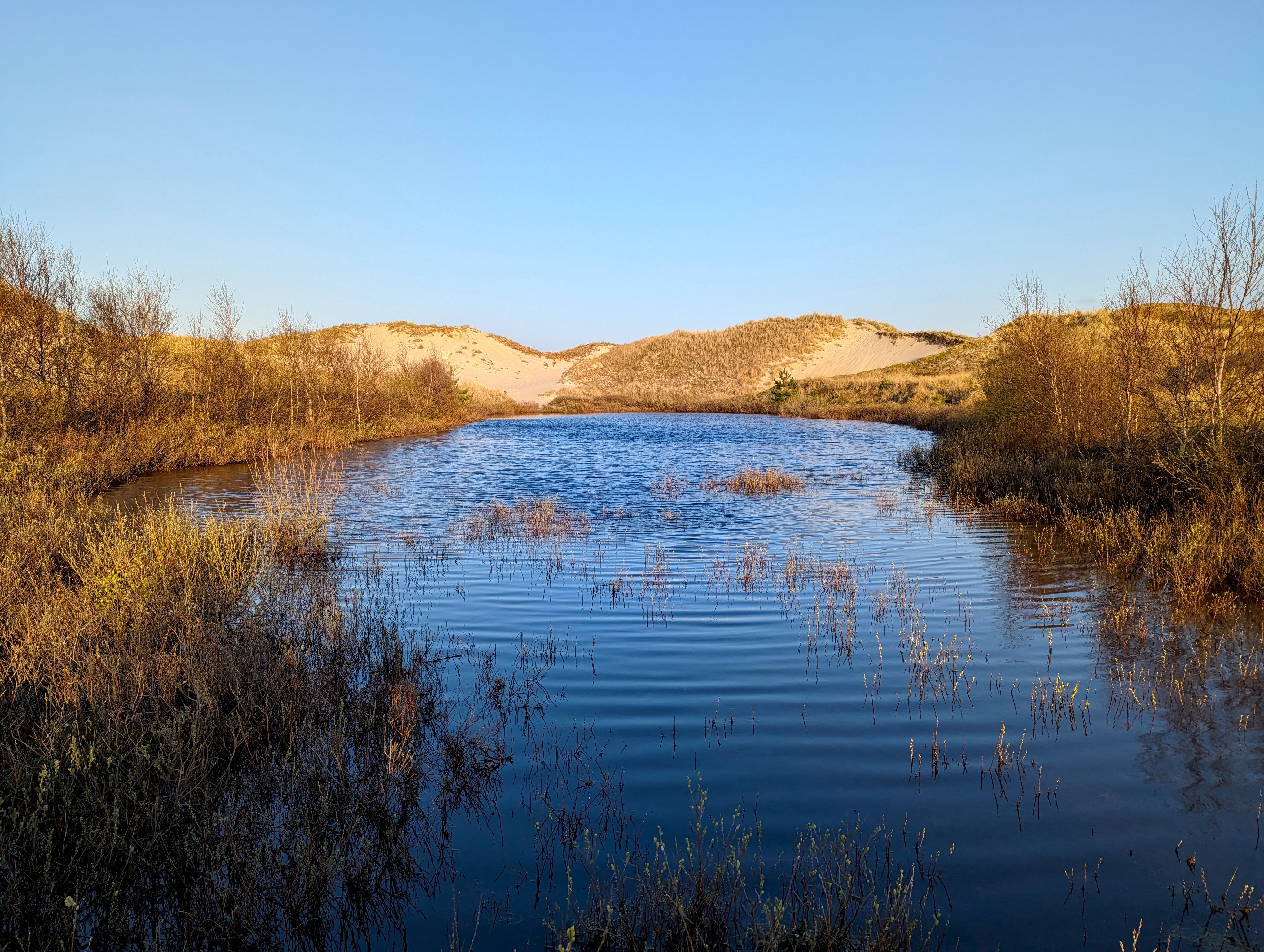 Der Blick geht bei schönem Wetter auf den Dünensee auf Amrum, im Hintergrund sind die Dünen zu sehen. bei 