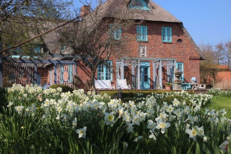 Der Blick geht über weiße Narzissen zum Haus des Hilligenbohl Hofes. Frühling pur.